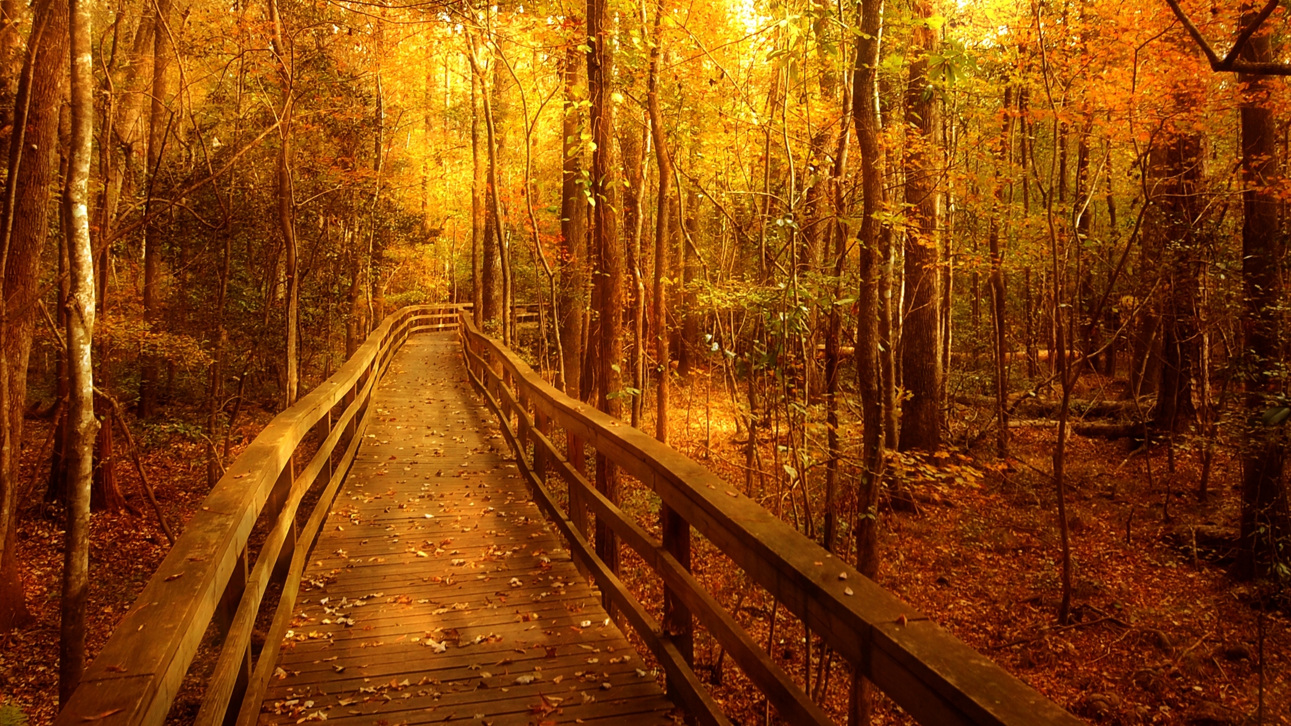 осень, эхинокс, когда