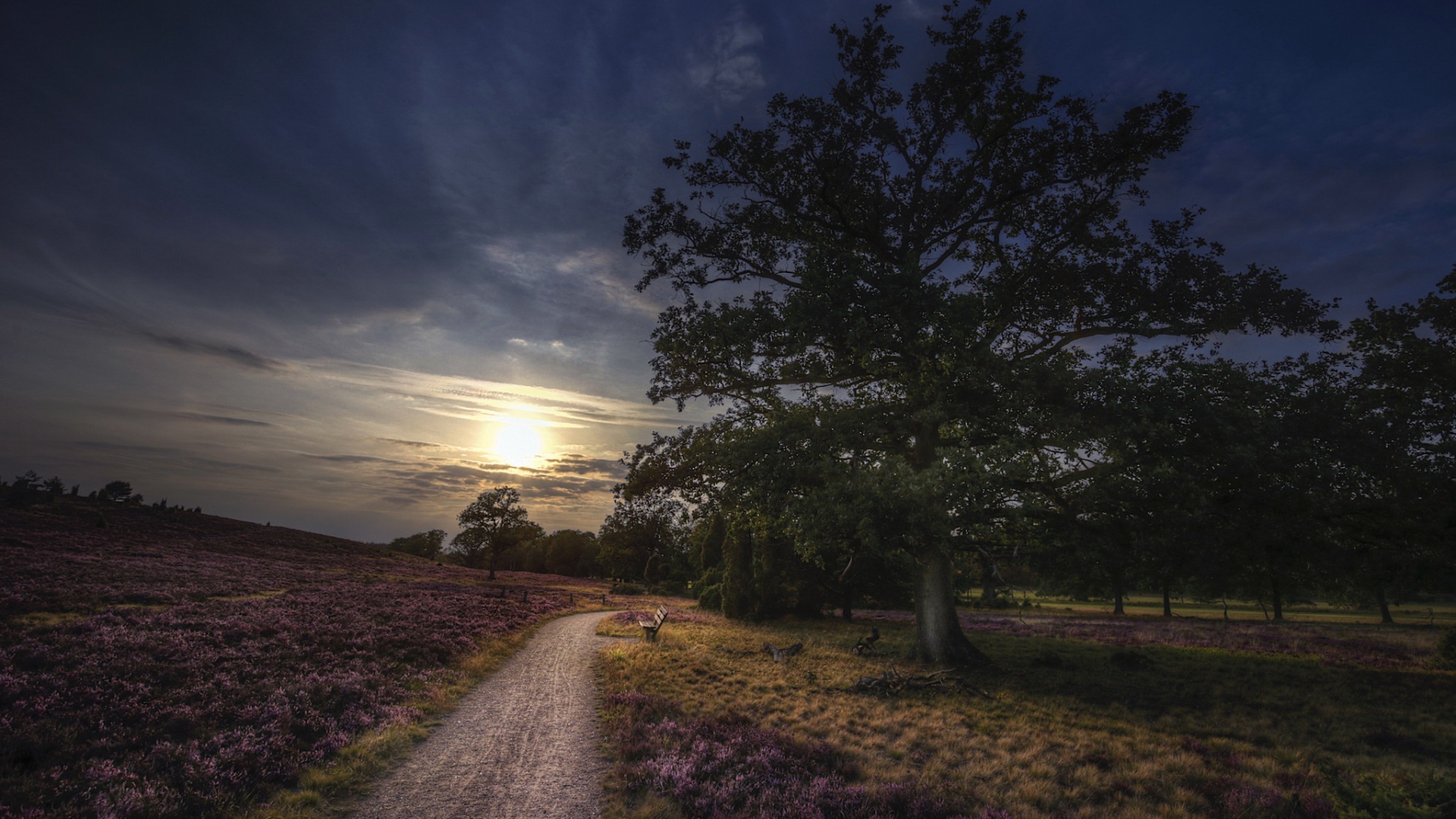 пейзаж, скамейка