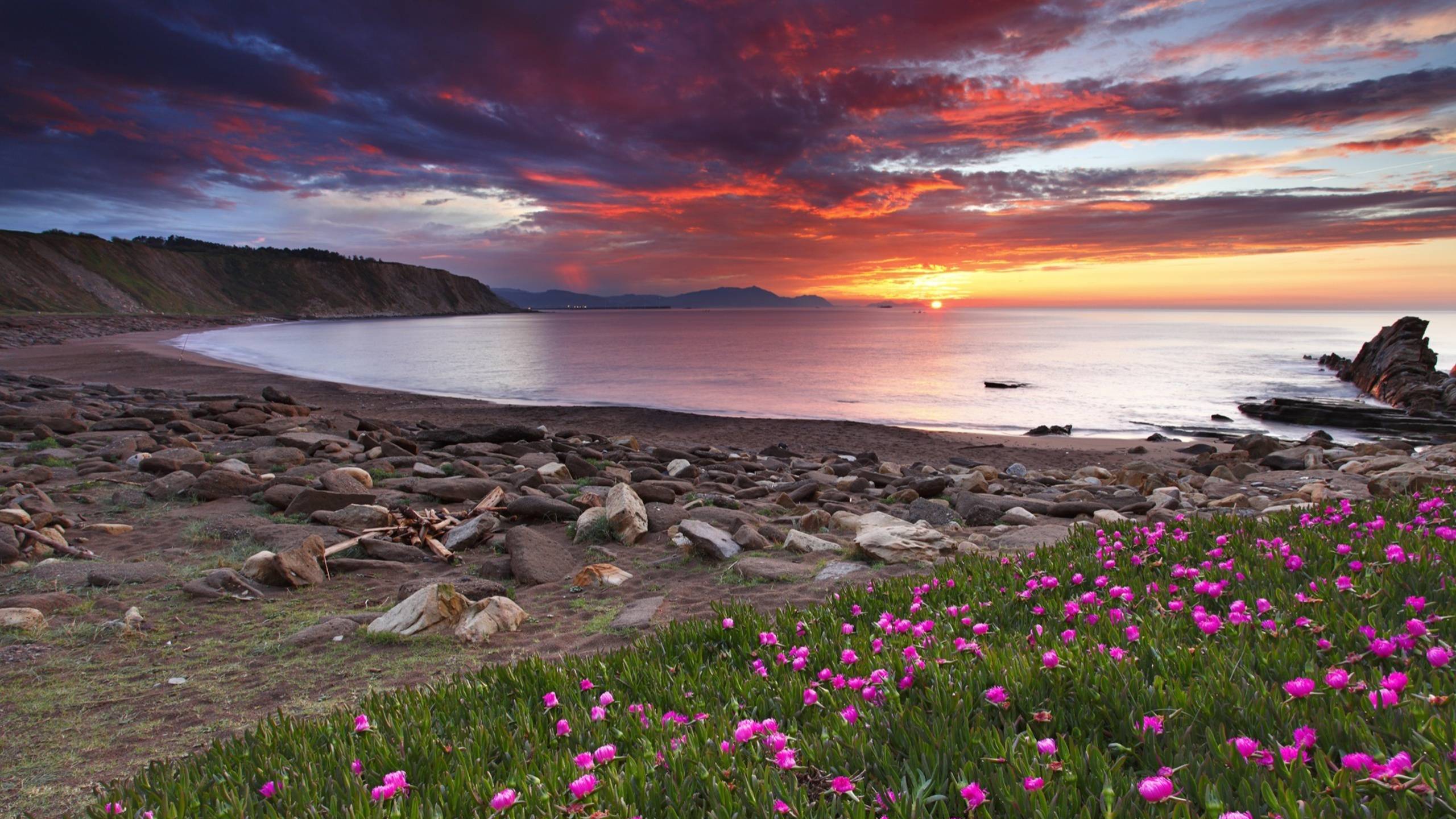 к клевер, море