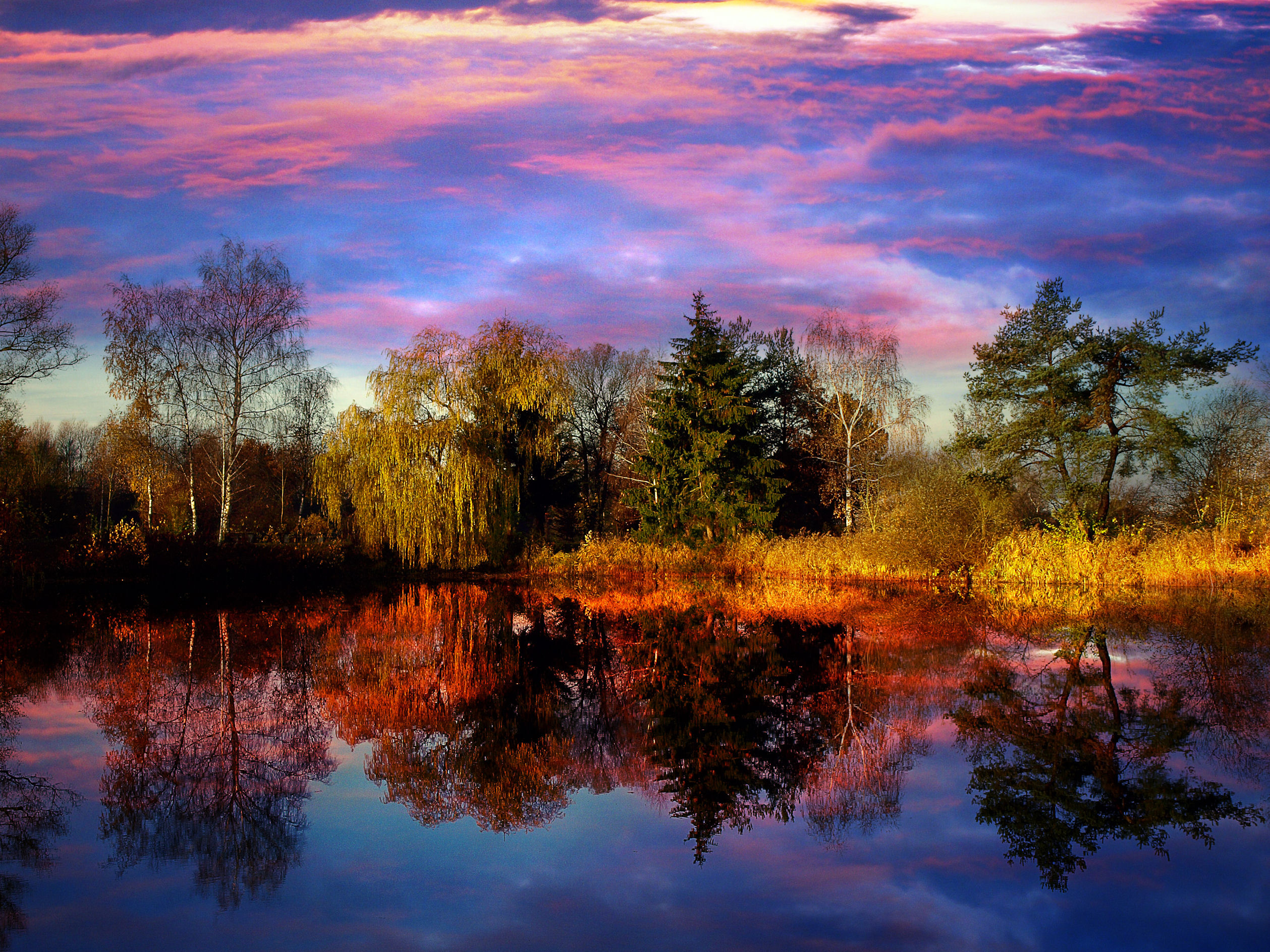розовый закат над озером и деревьями бесплатно