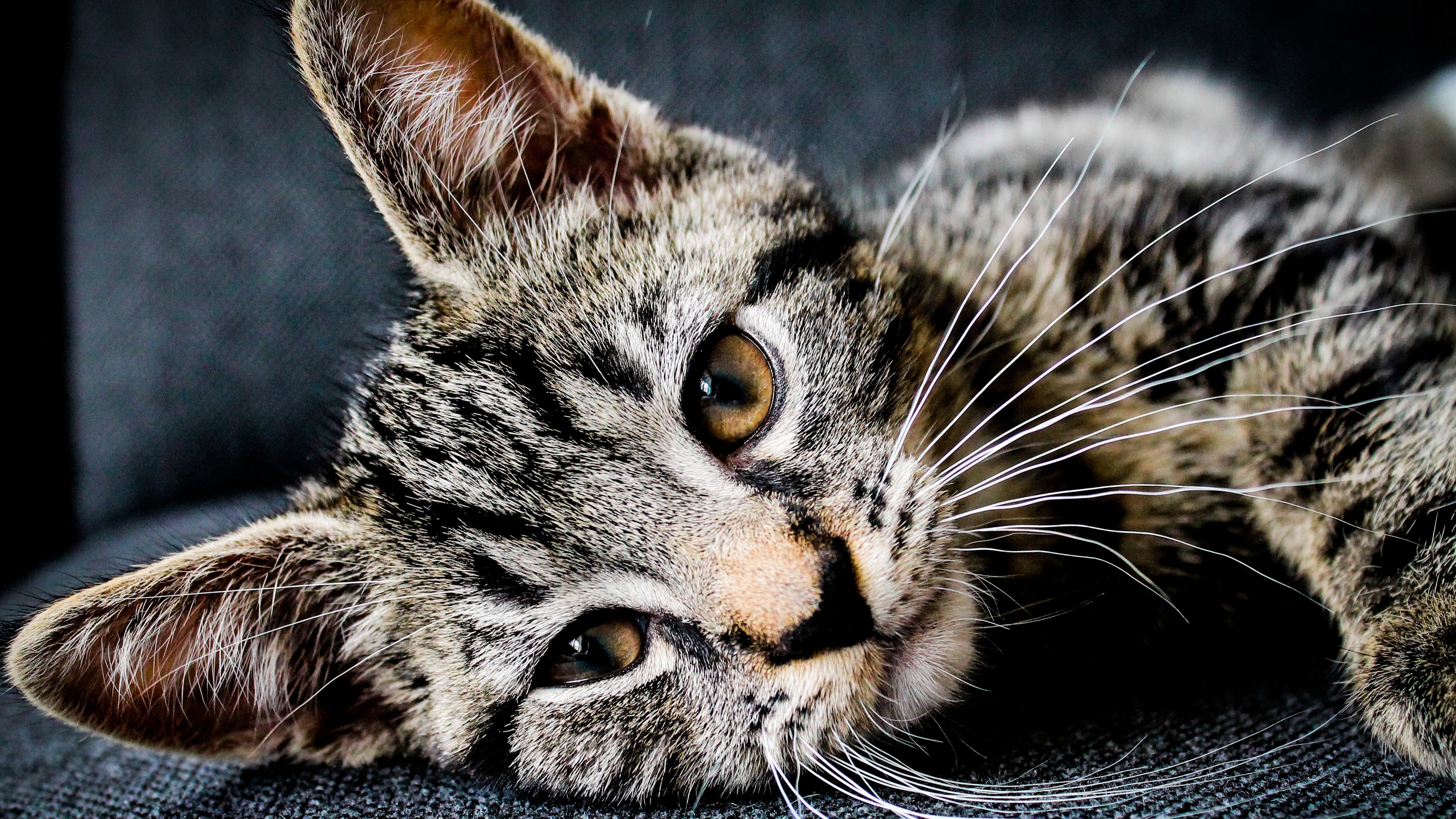наркотики, издание