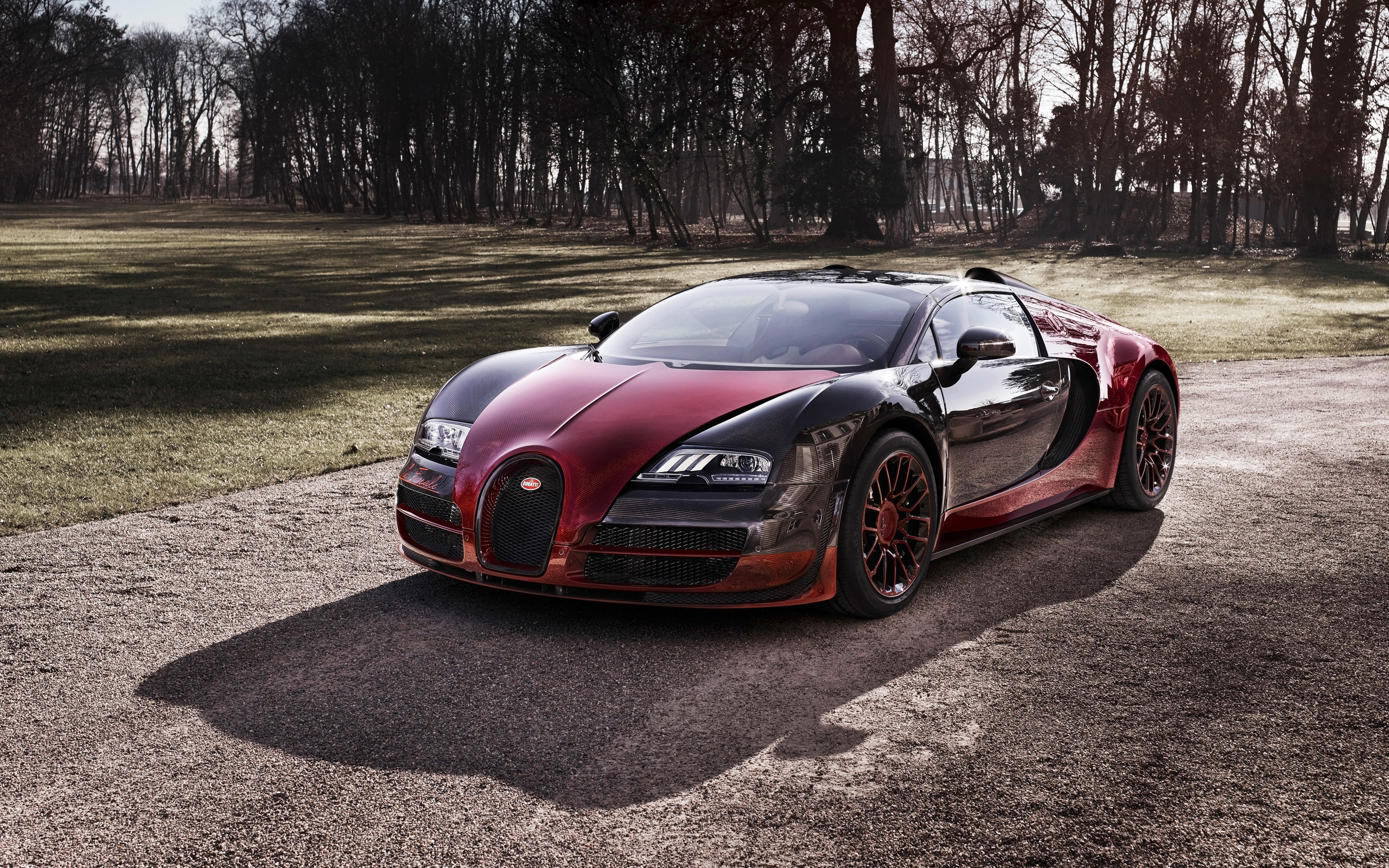 bugatti, veyron, finale