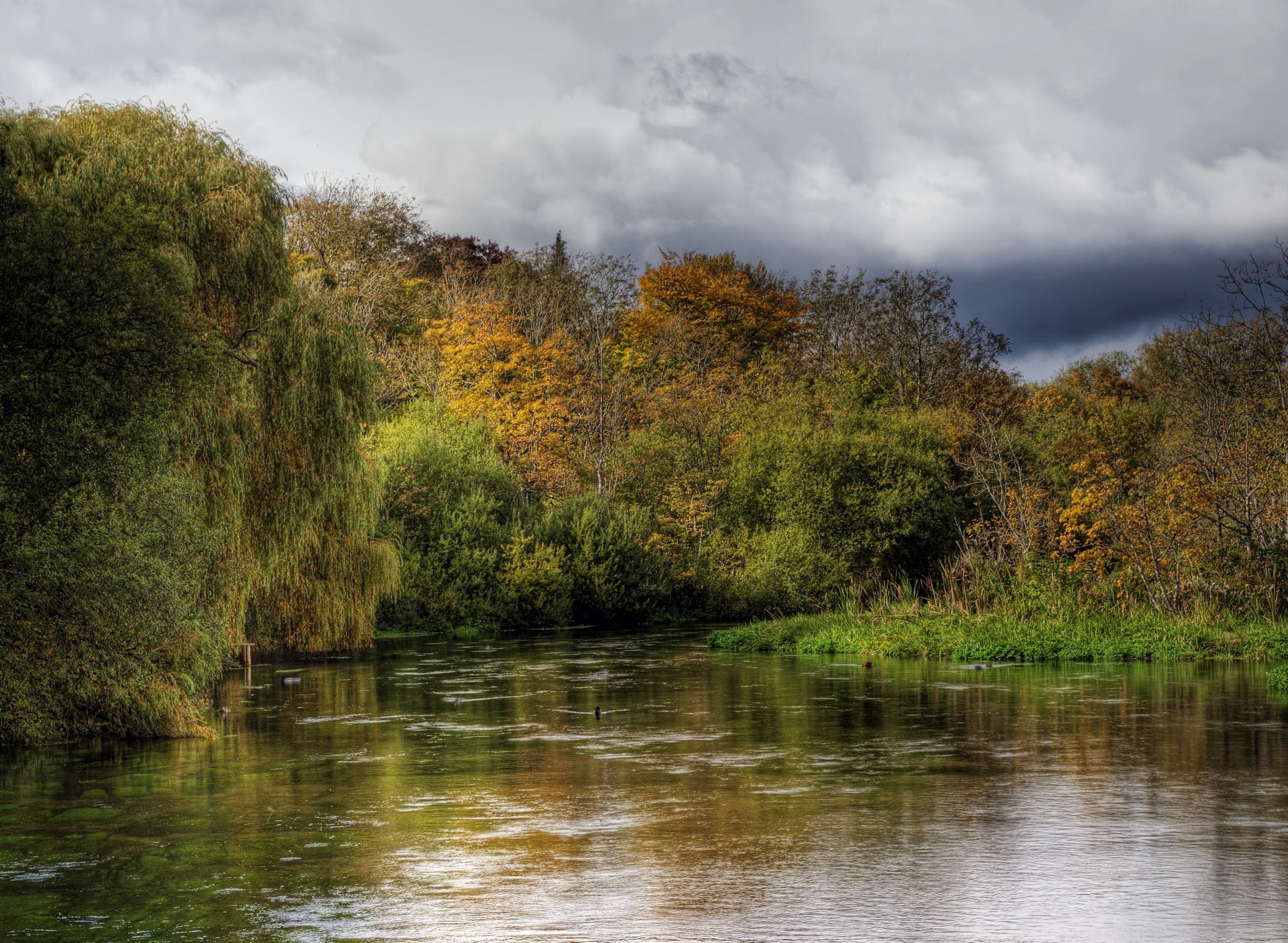 Текст по берегам лесных малых рек. Дон река в Великобритании. Англия Хэмпшир природа. Река сбоку. Заводь реки.