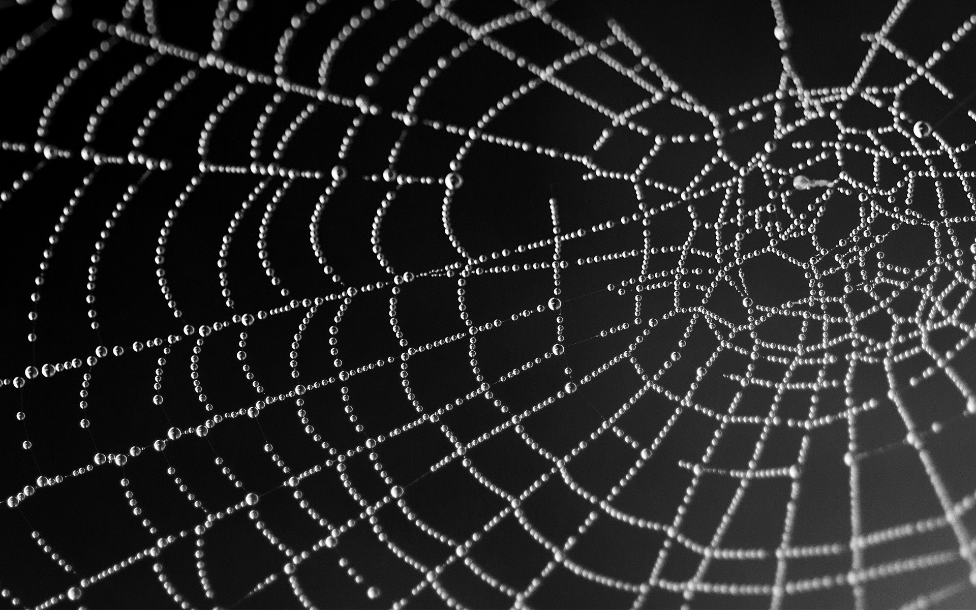 web, фон, water