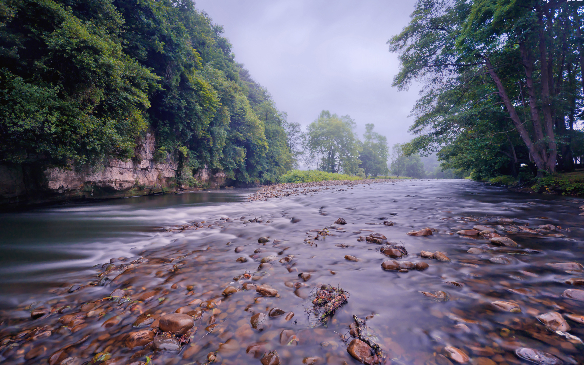 река, кишка, аниме