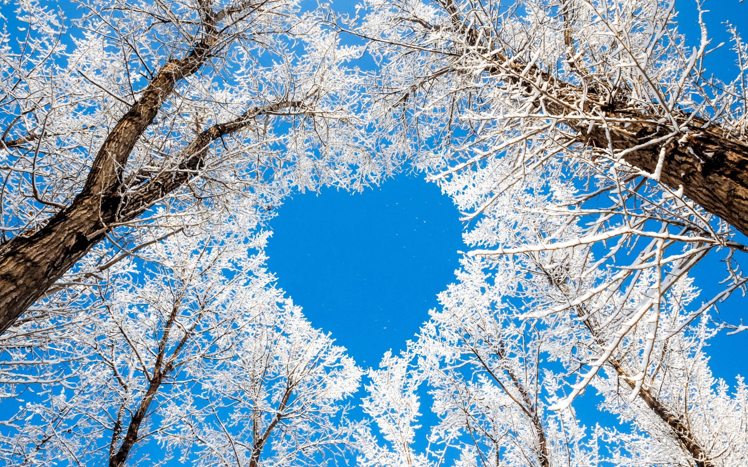 winter, сердце, снег