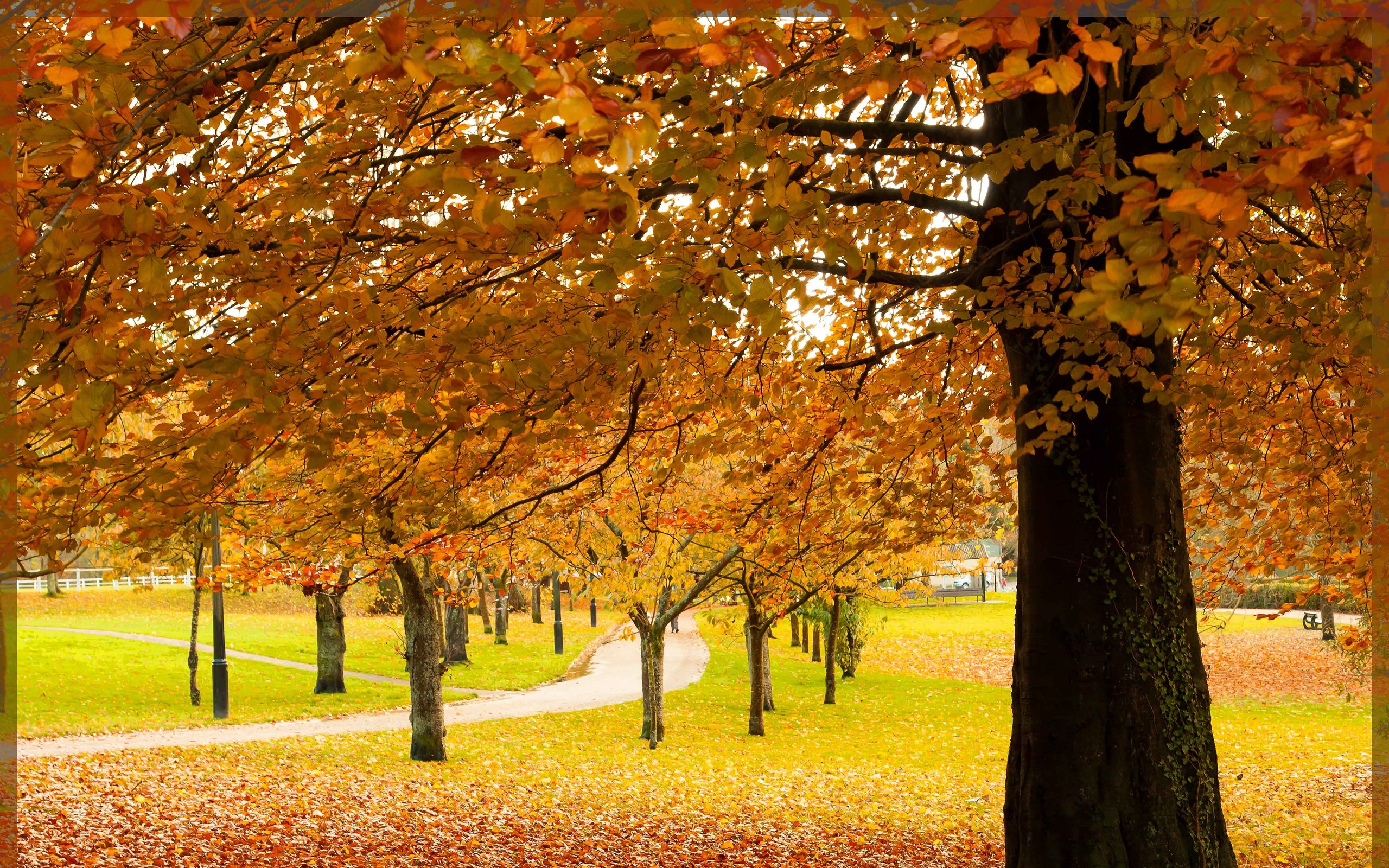 Природа 25060