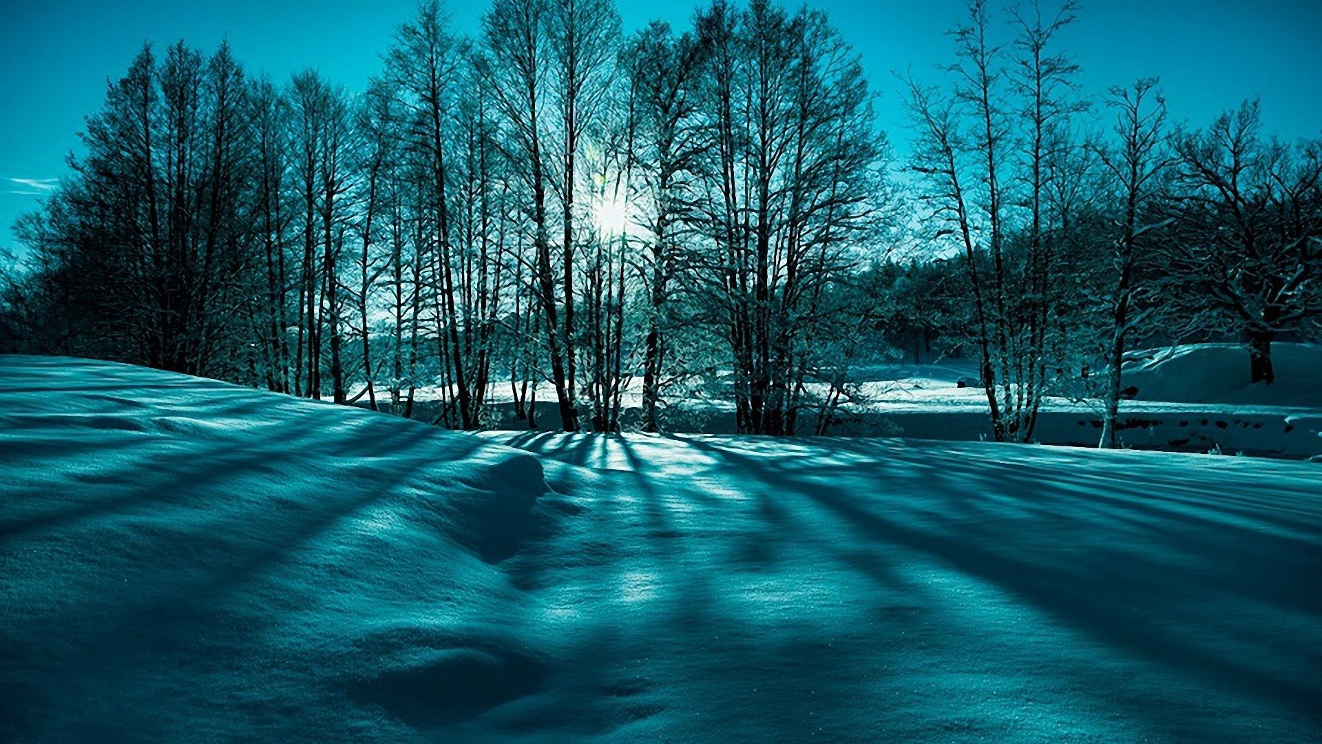 природа, дневник, заставки