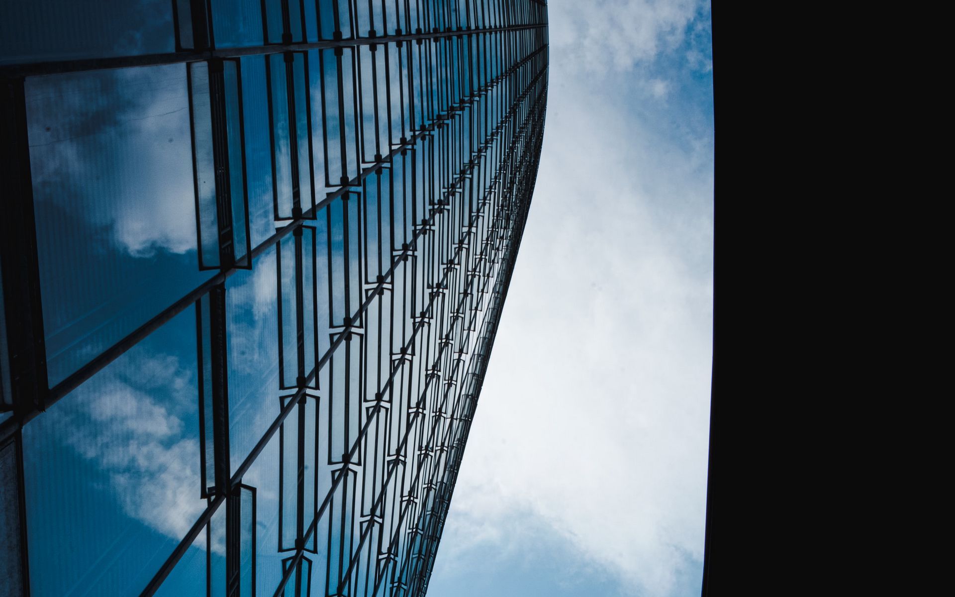 сборка, дельце, бонн