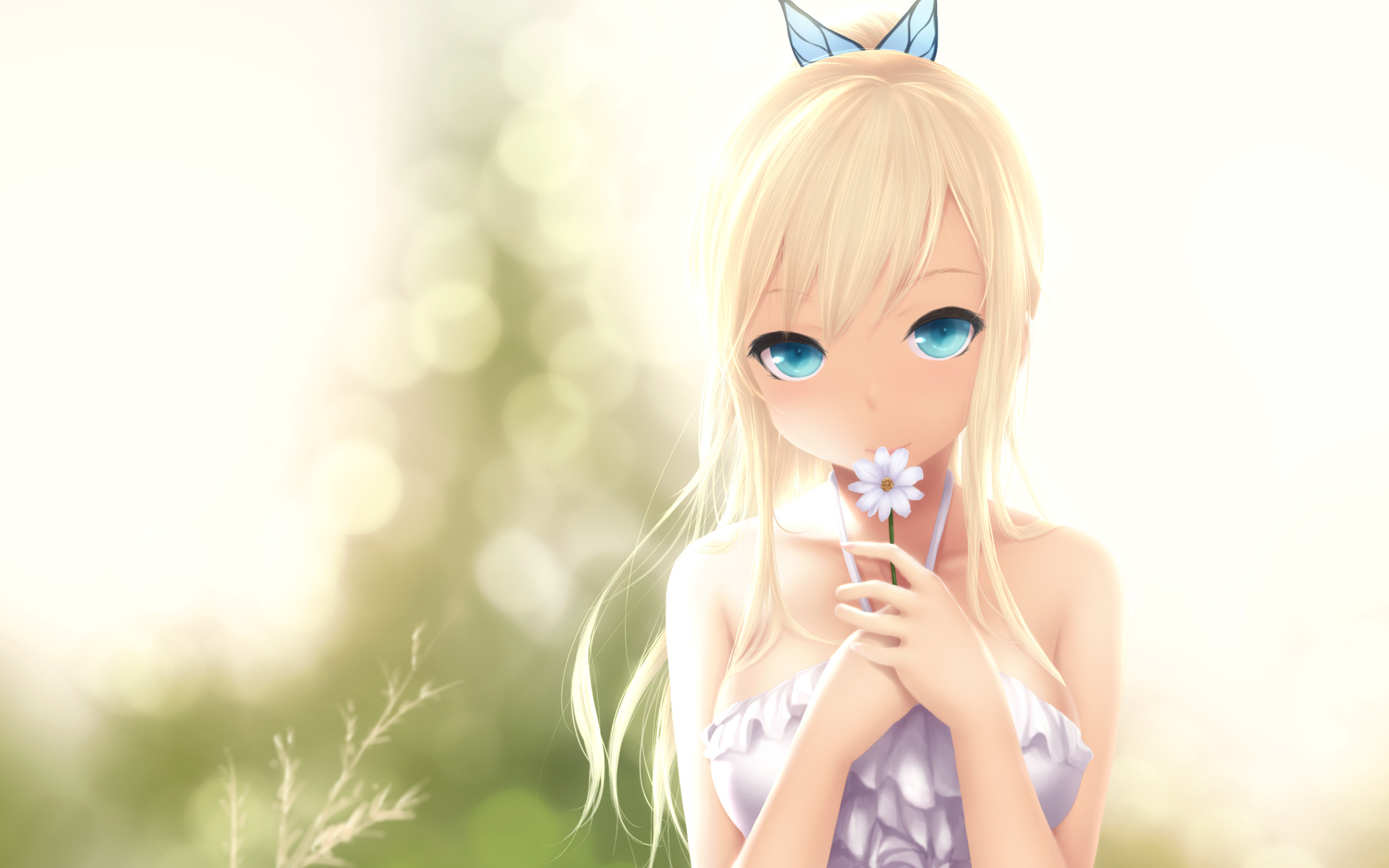 sena, kashiwazaki