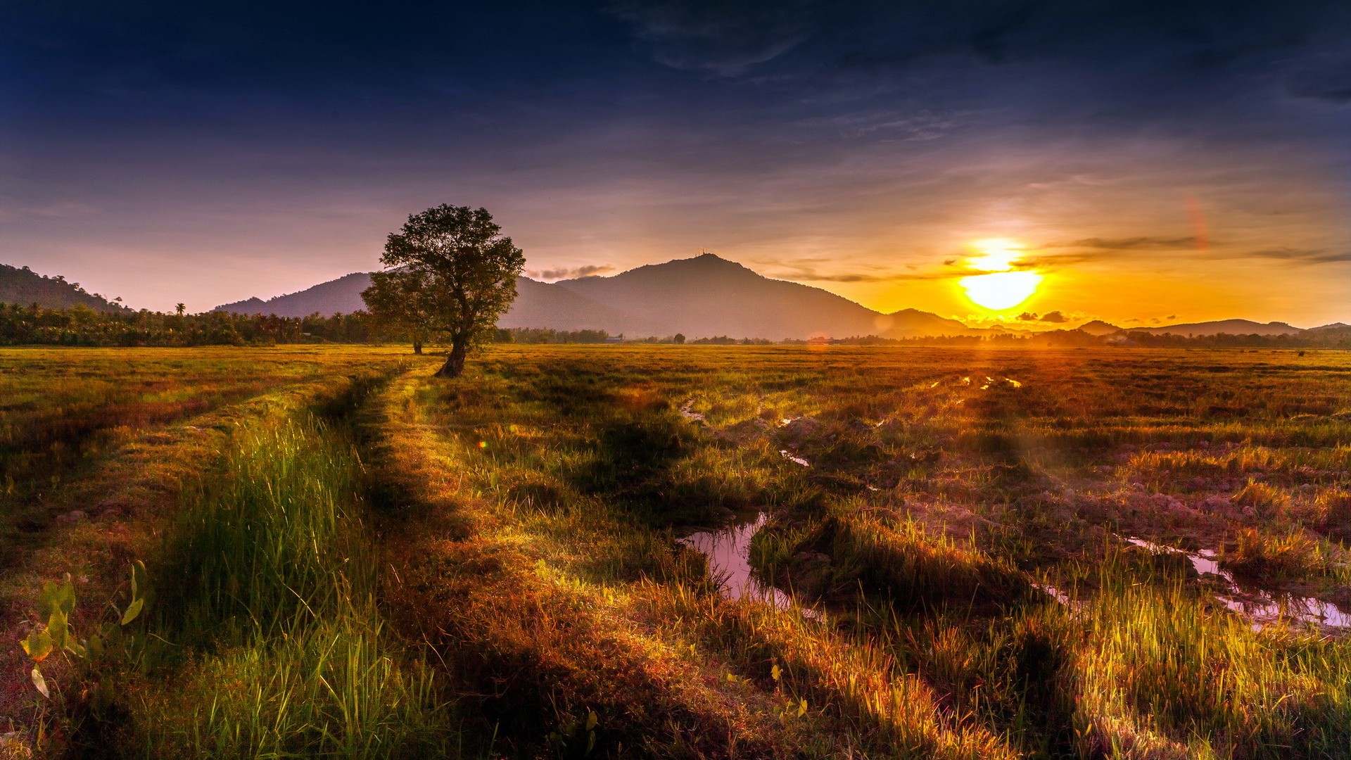 солнце, пейзаж