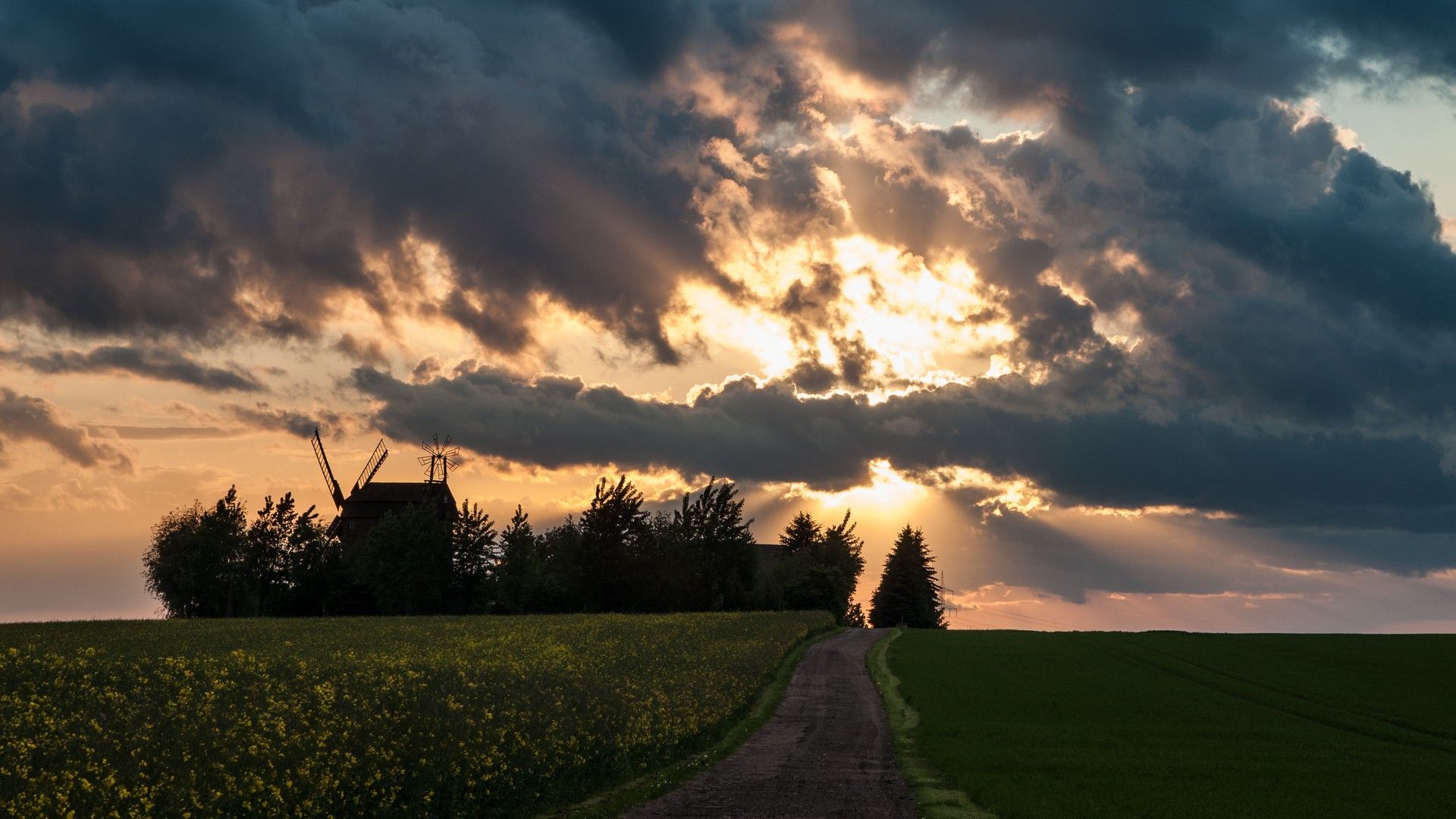 campo, cielo, atardecer