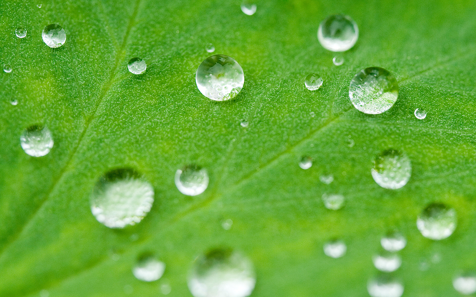water, bead, 查看源网页