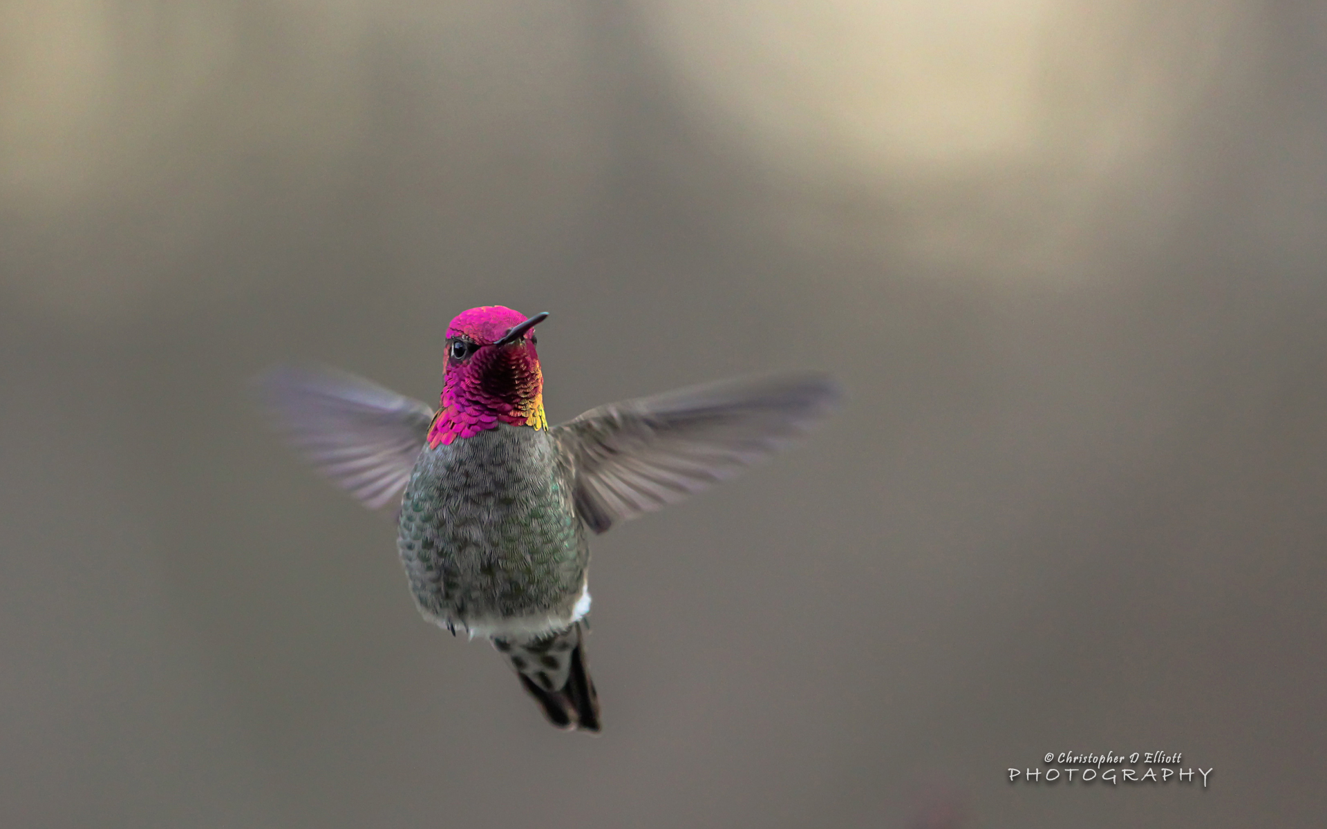 ты, больше, меньше