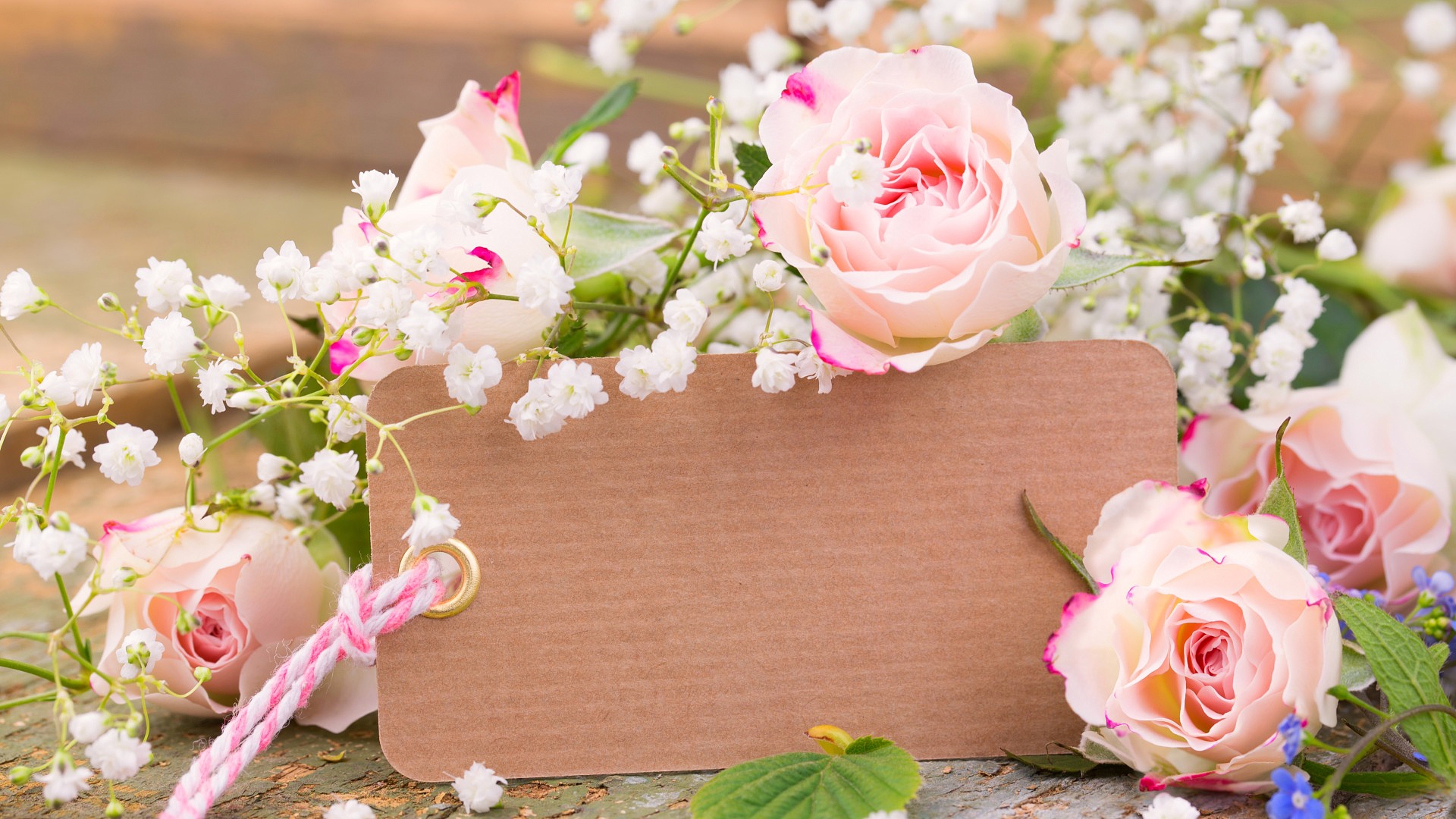 дно, поздравляем, день