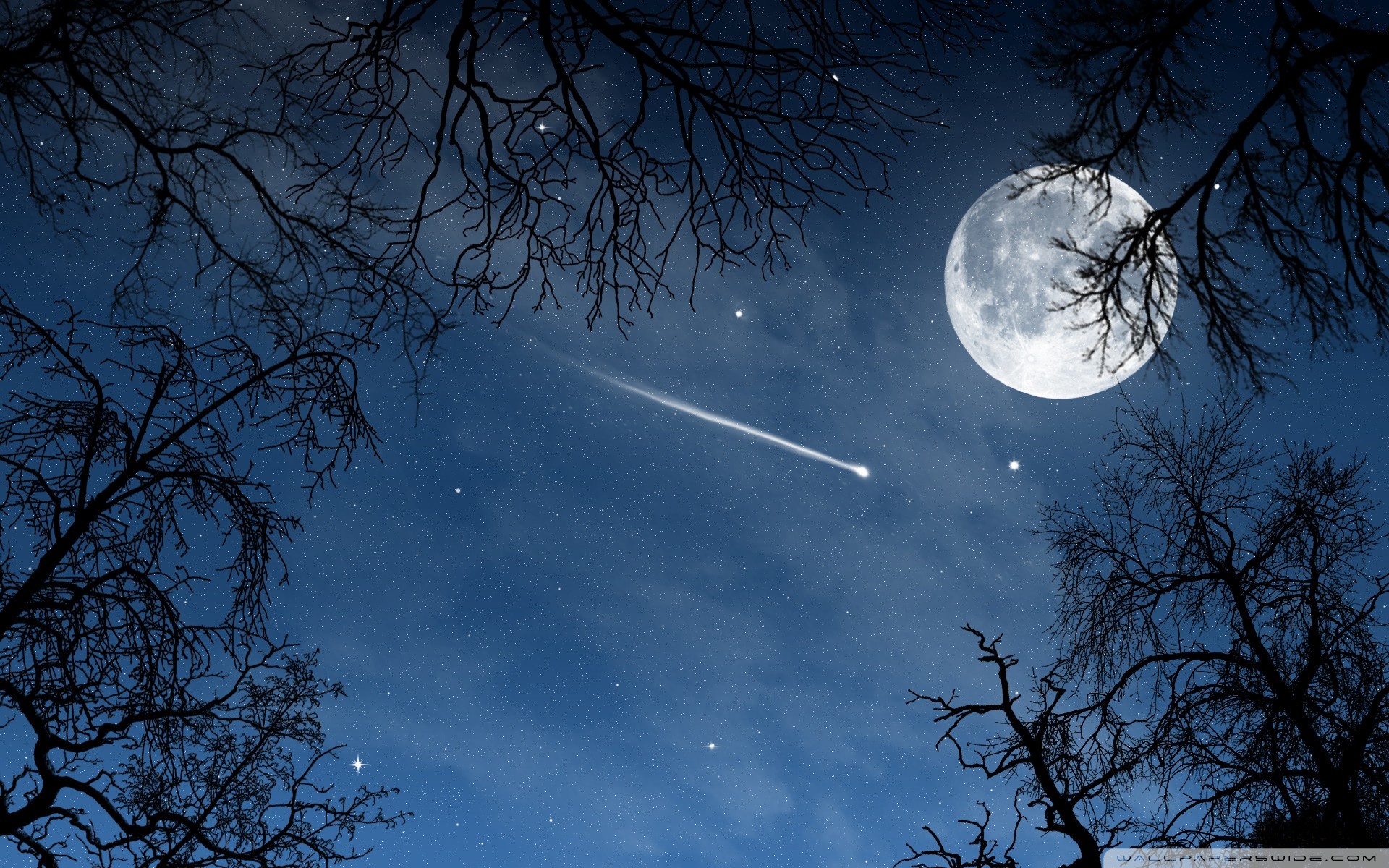 природа небо луна деревья ночь загрузить