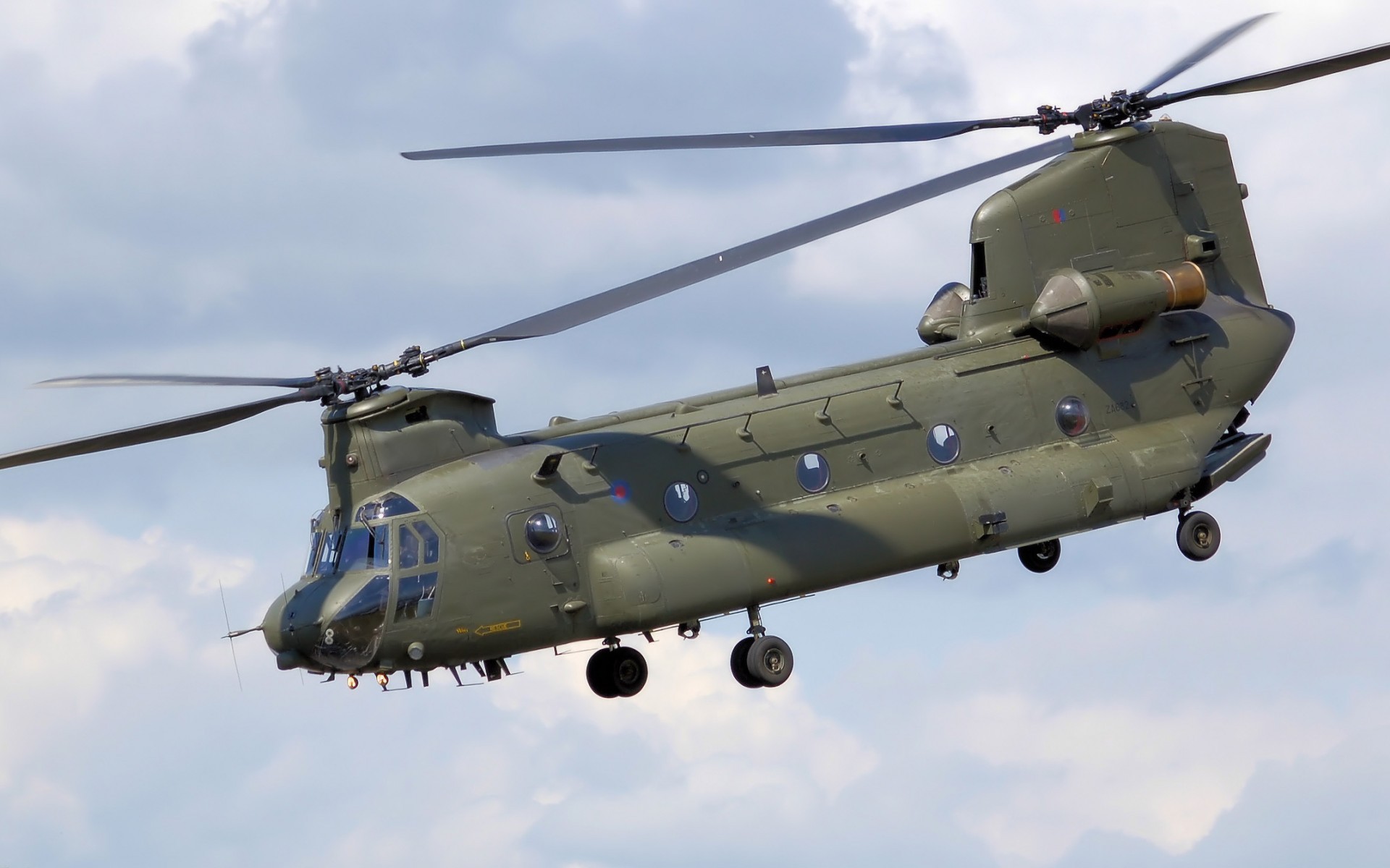 chỉ, кастинг, chinook