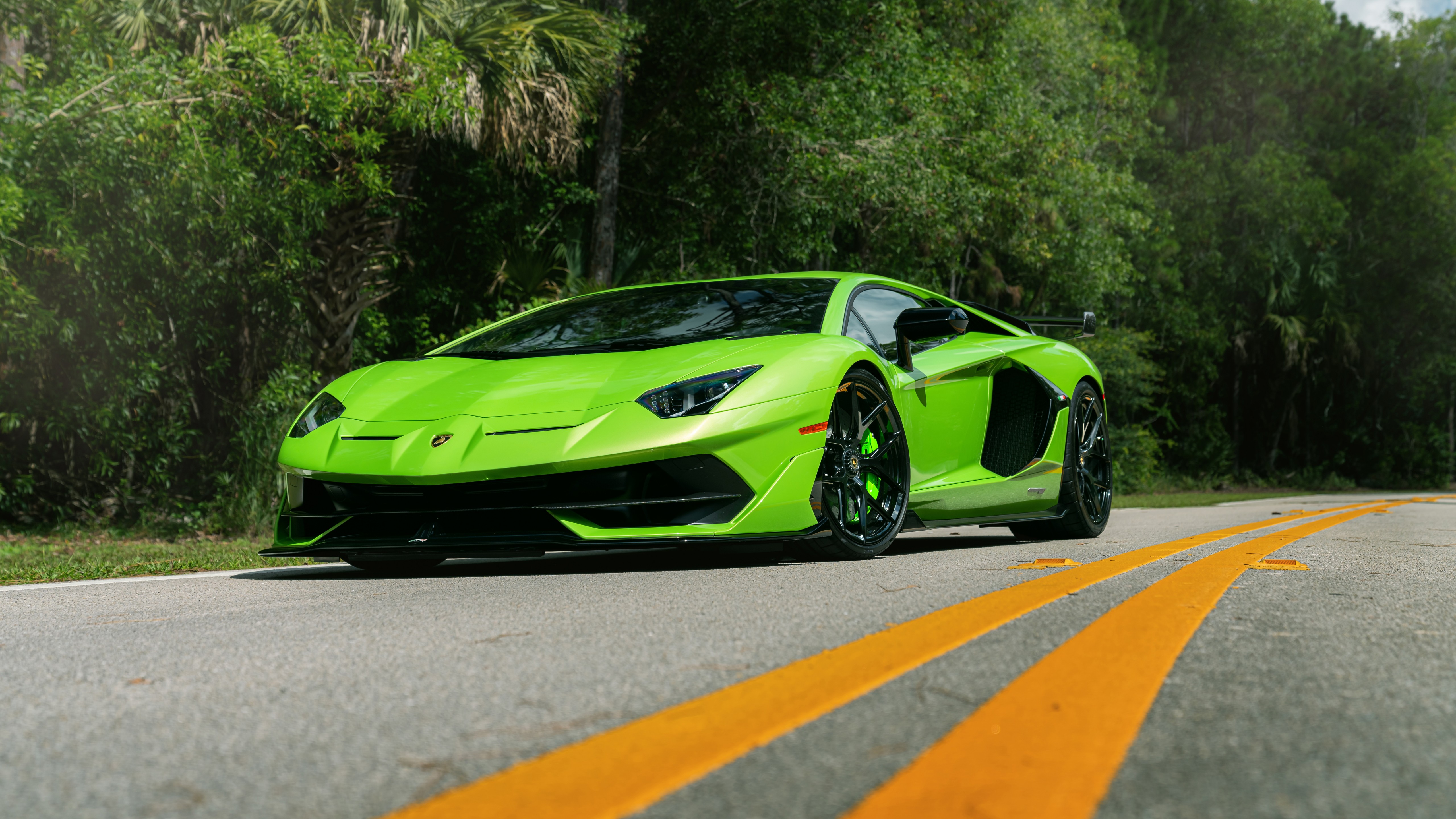 aventador, vossen