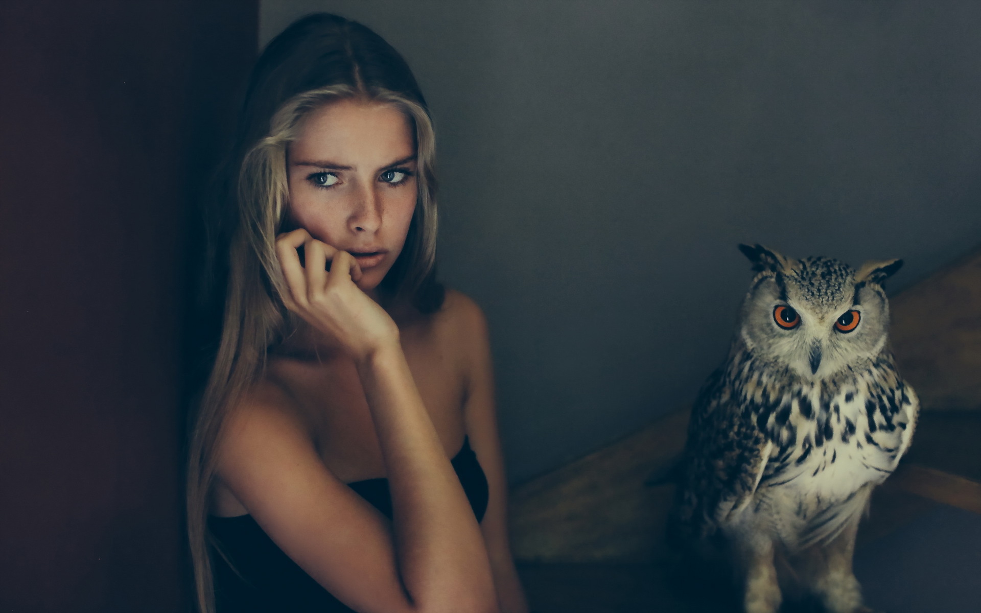 сова, птица, девушка