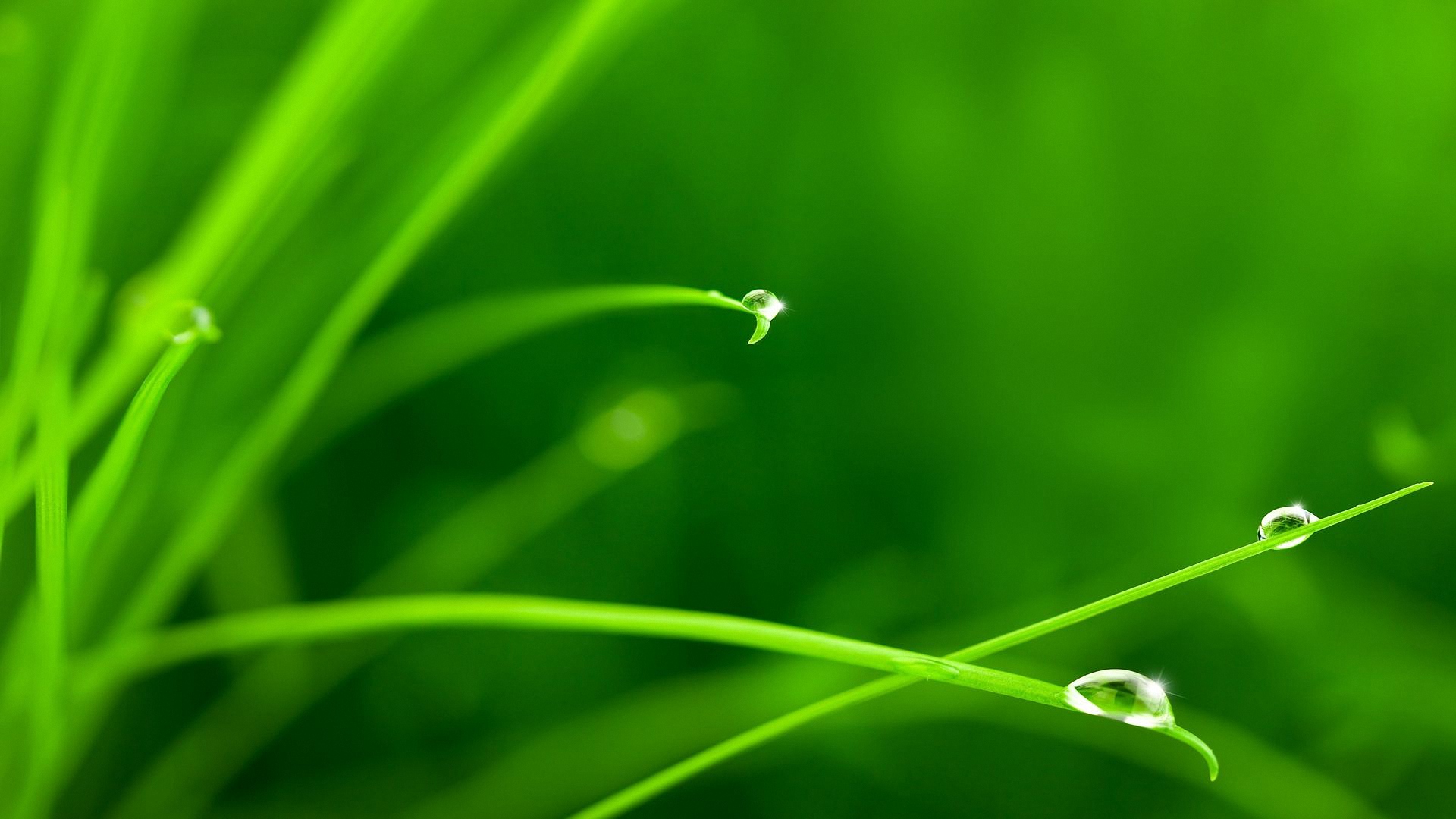 drop, water, makryi