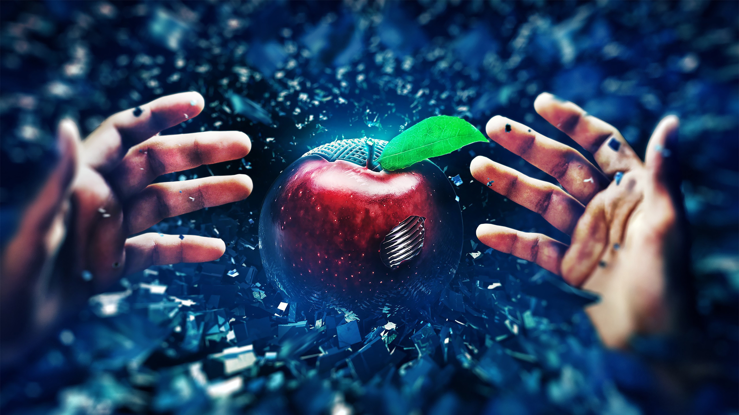 яблоко, выходной, настольный