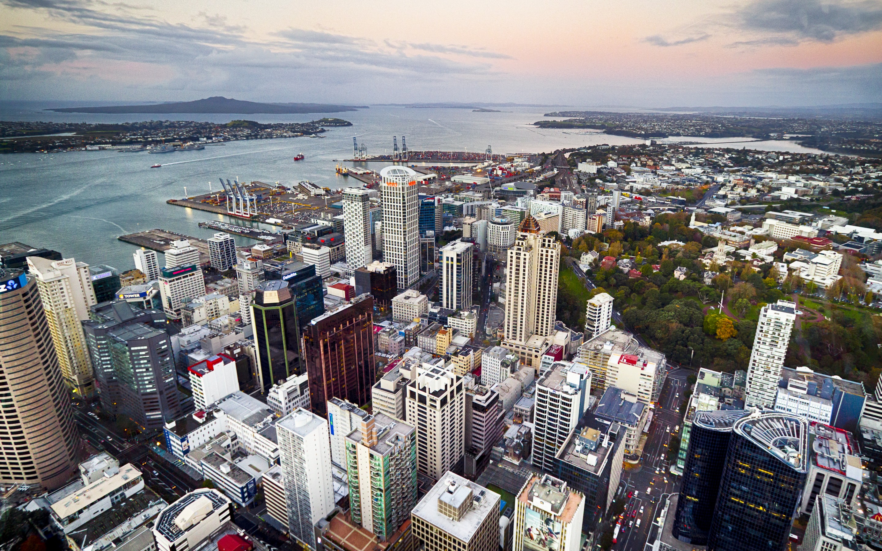 zealand, новая, auckland