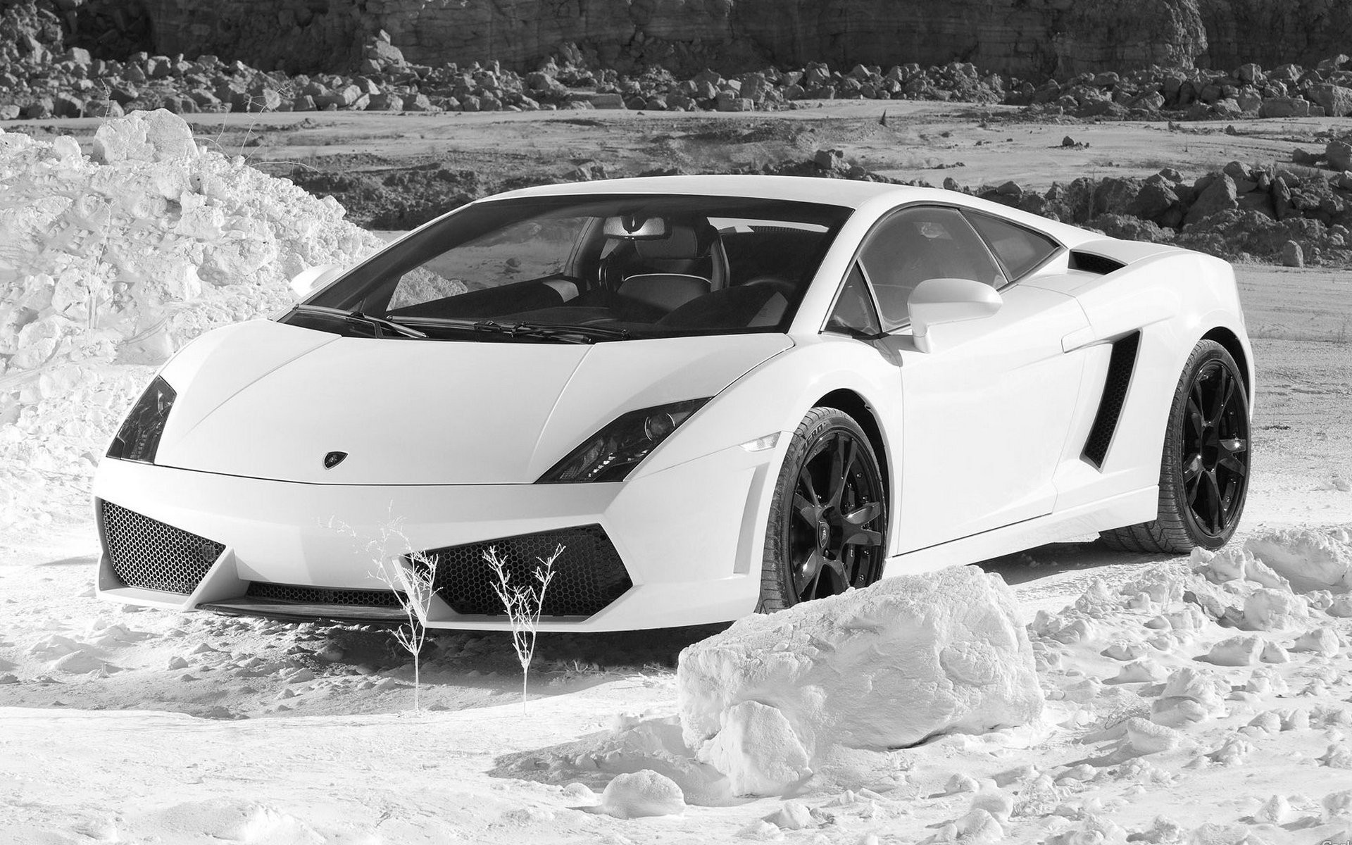 lamborghini, gallardo, фандом