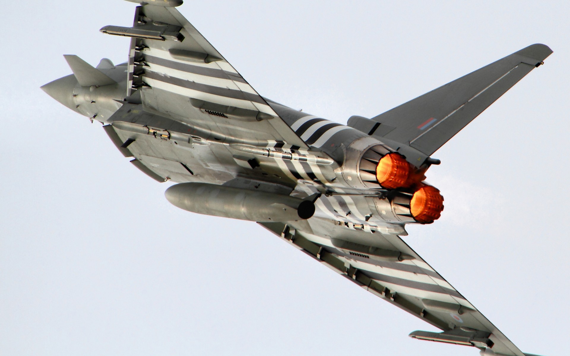 тайфун, европеоид, искусство