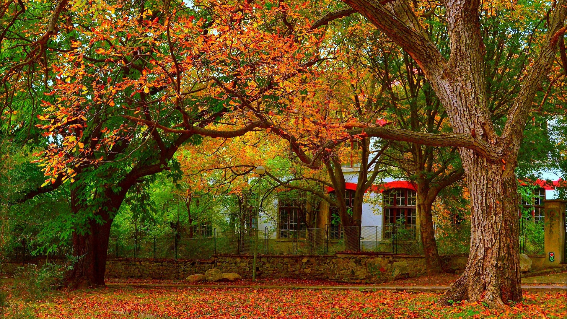 осень, лист, губы