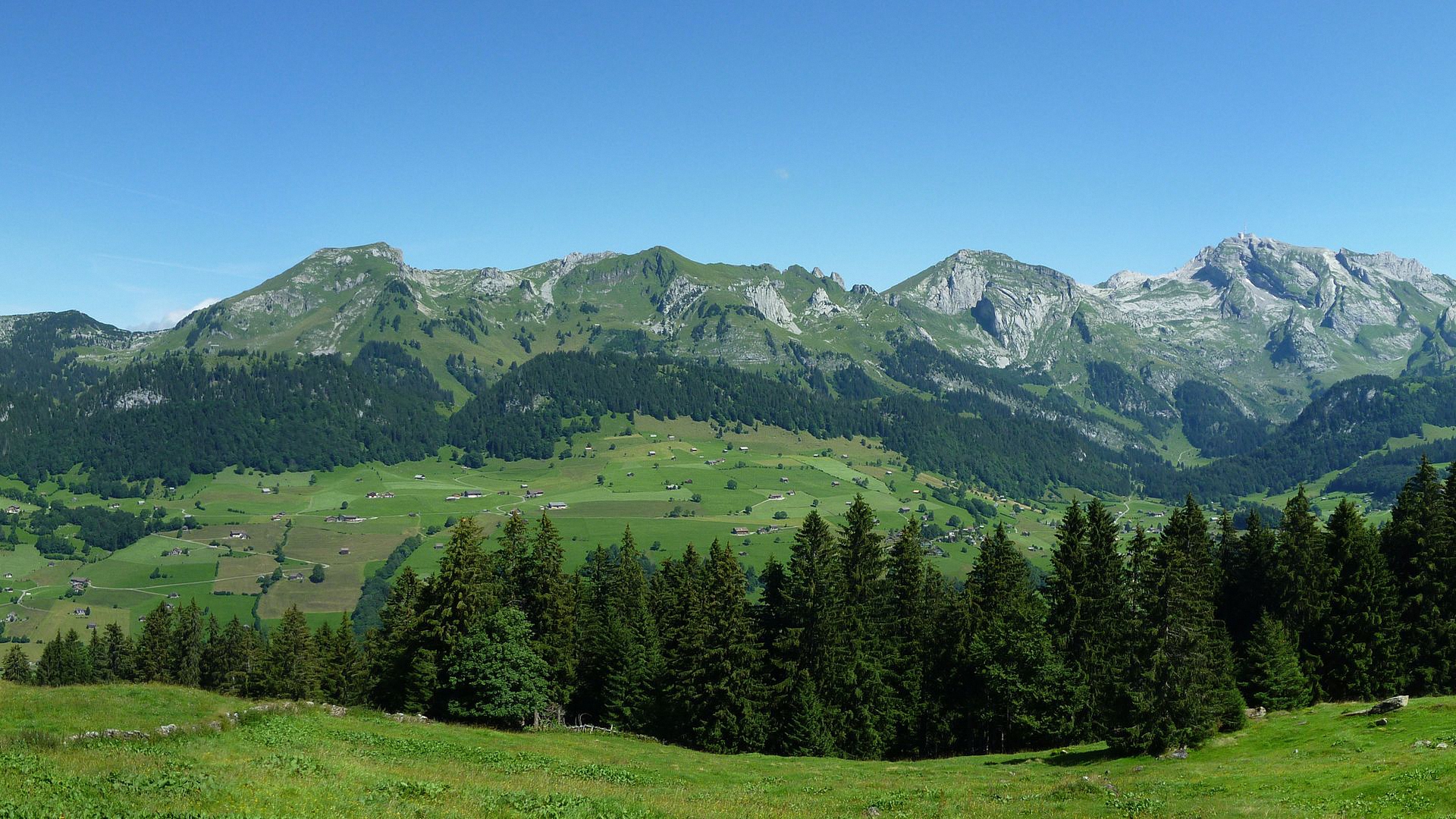 zinnen, park