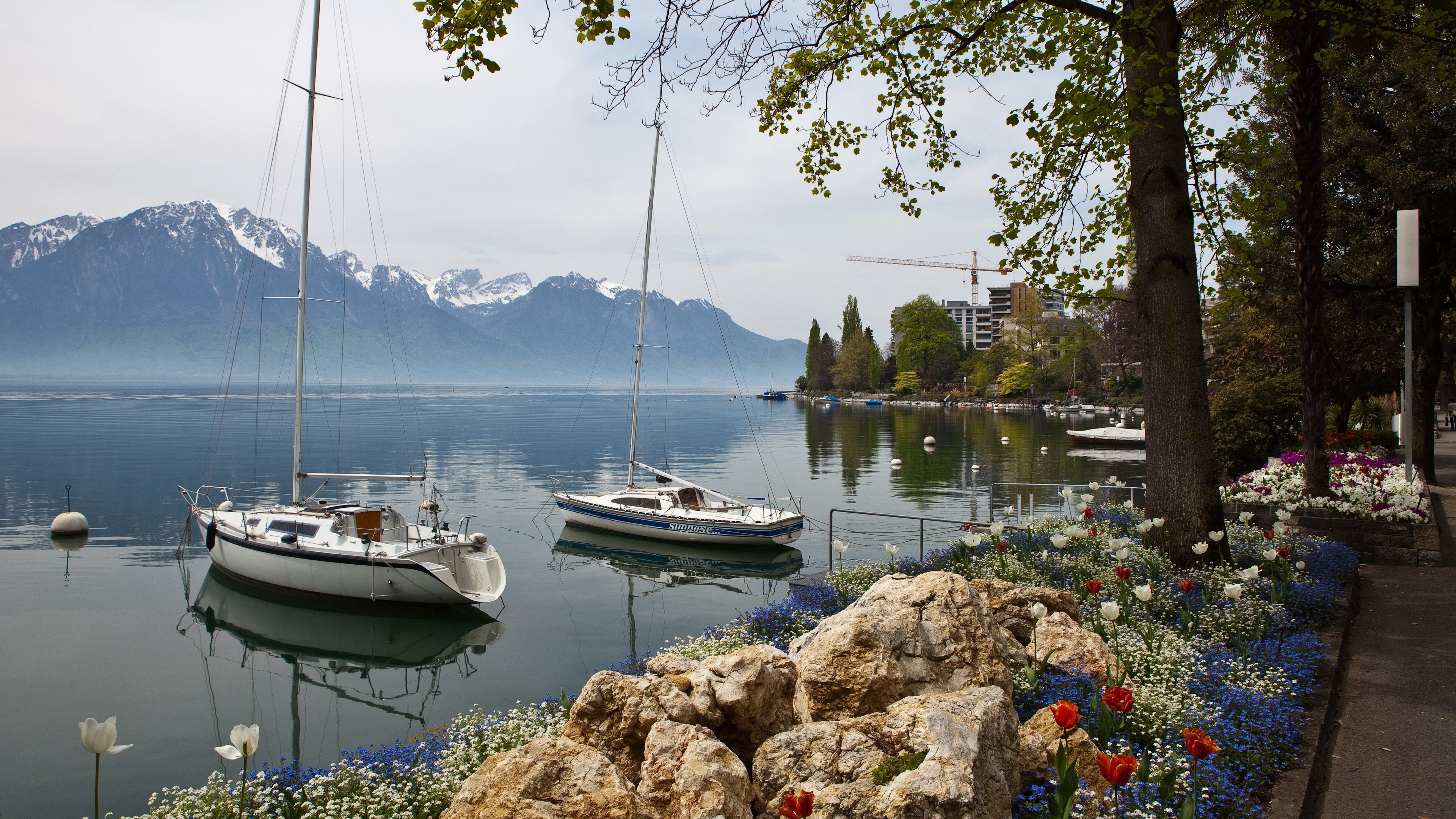 дорога, монтреу