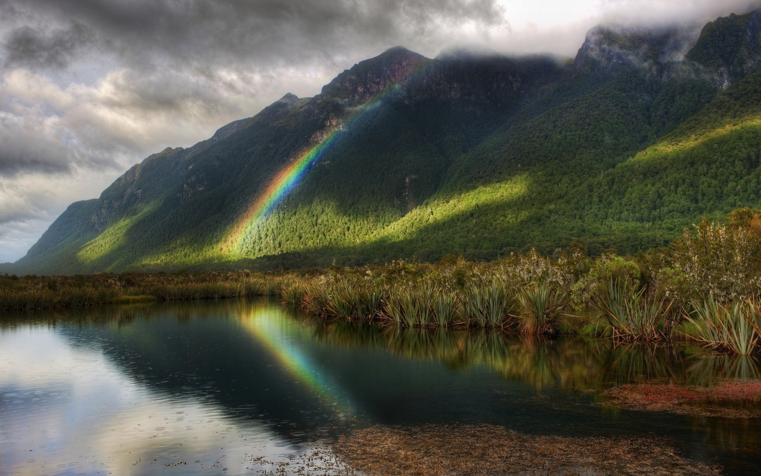 Милфорд Саунд Новая Зеландия горы озеро природа скачать