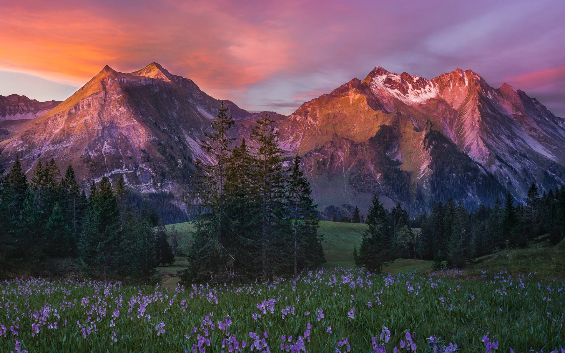 ar te, bahor, пейзаж