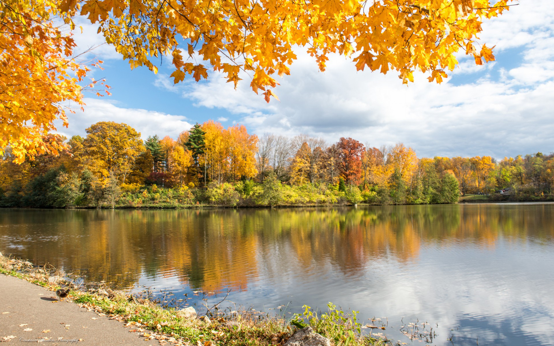 лучшие, фото, настольные