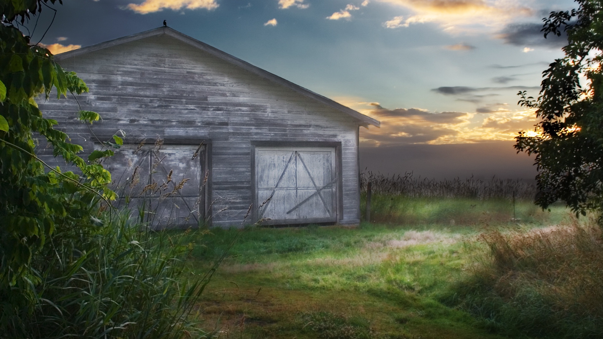 любовь, ecran, ferme
