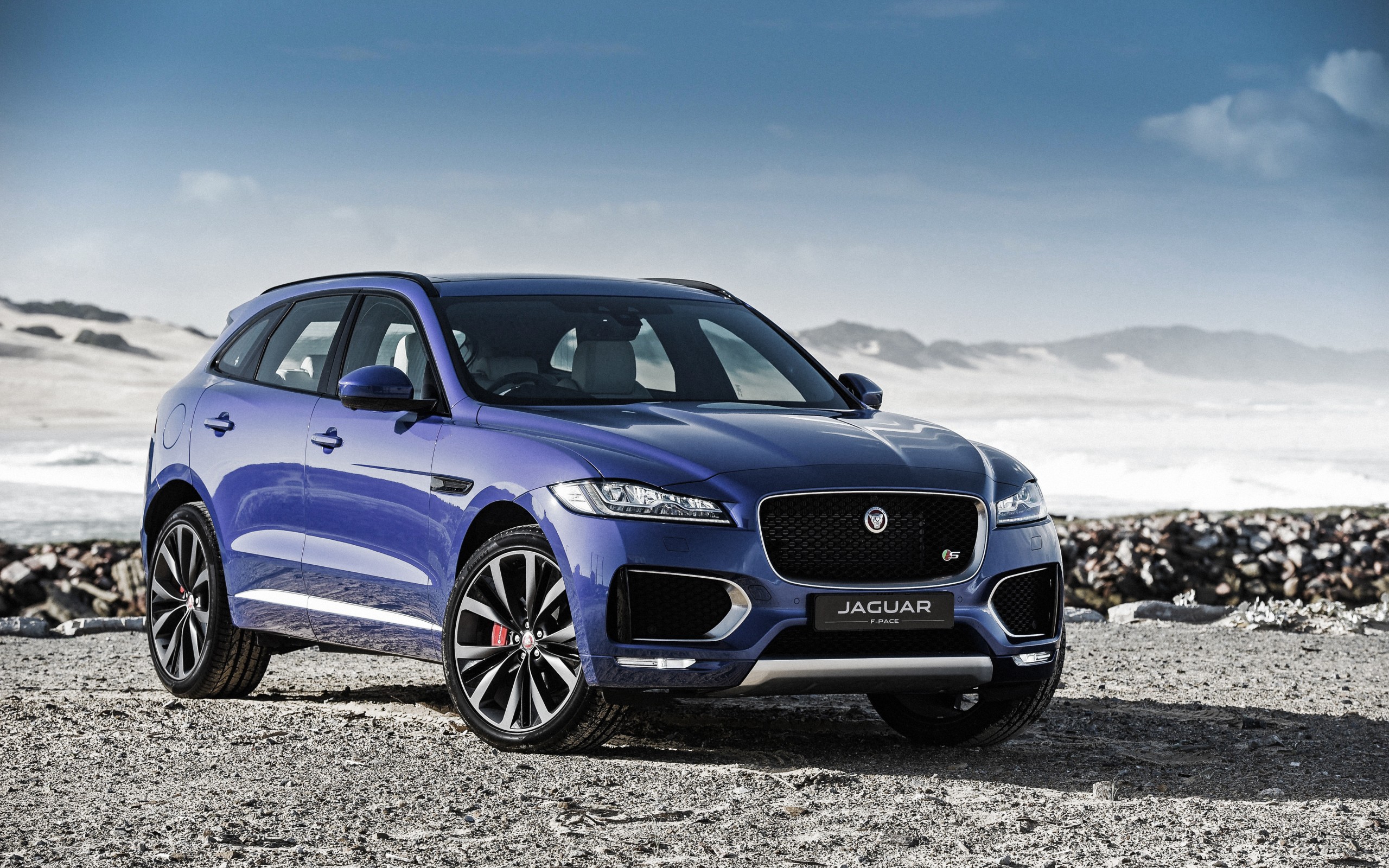 jaguar, темп, первый