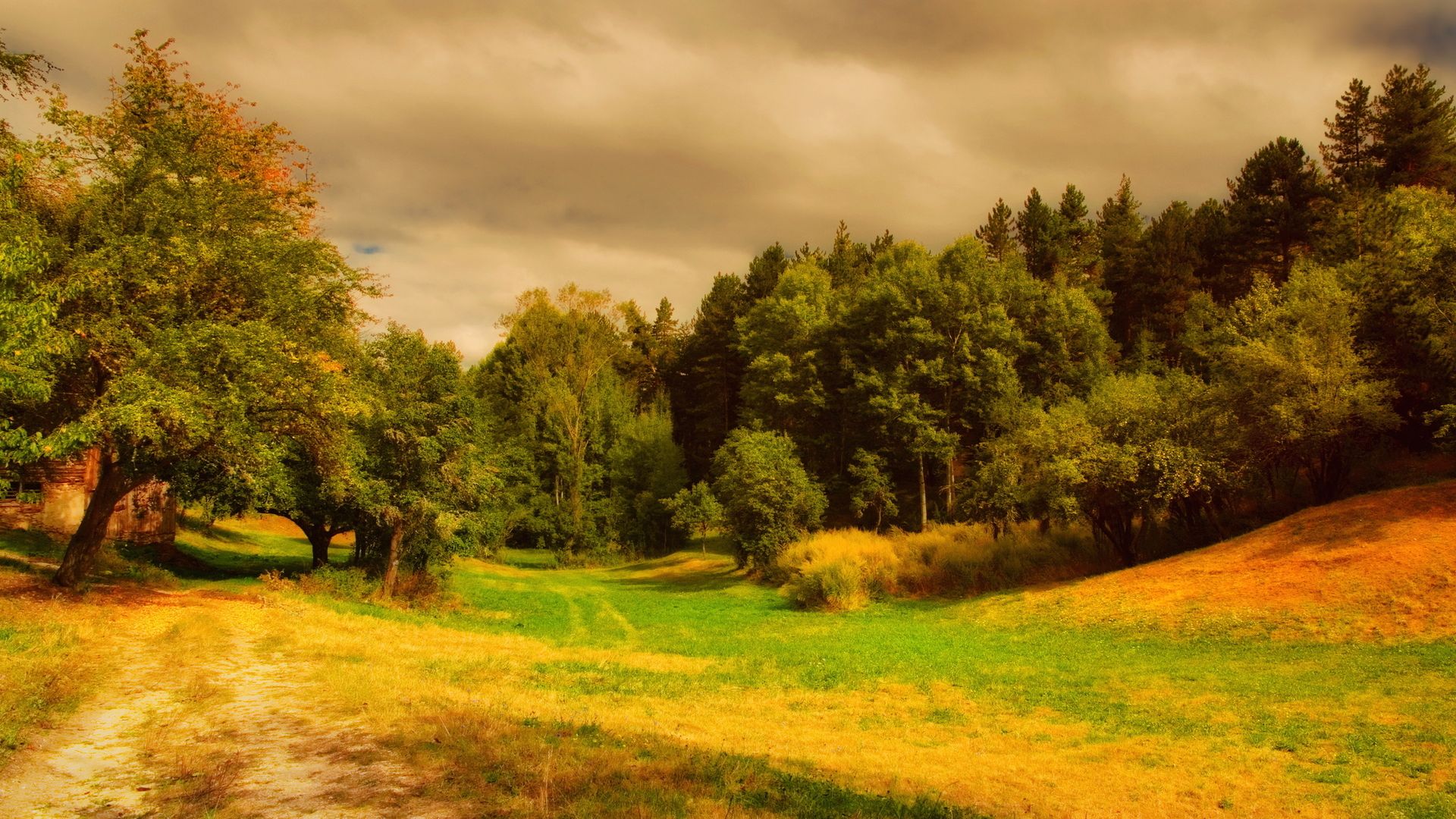 зоопарк, кролик, золото
