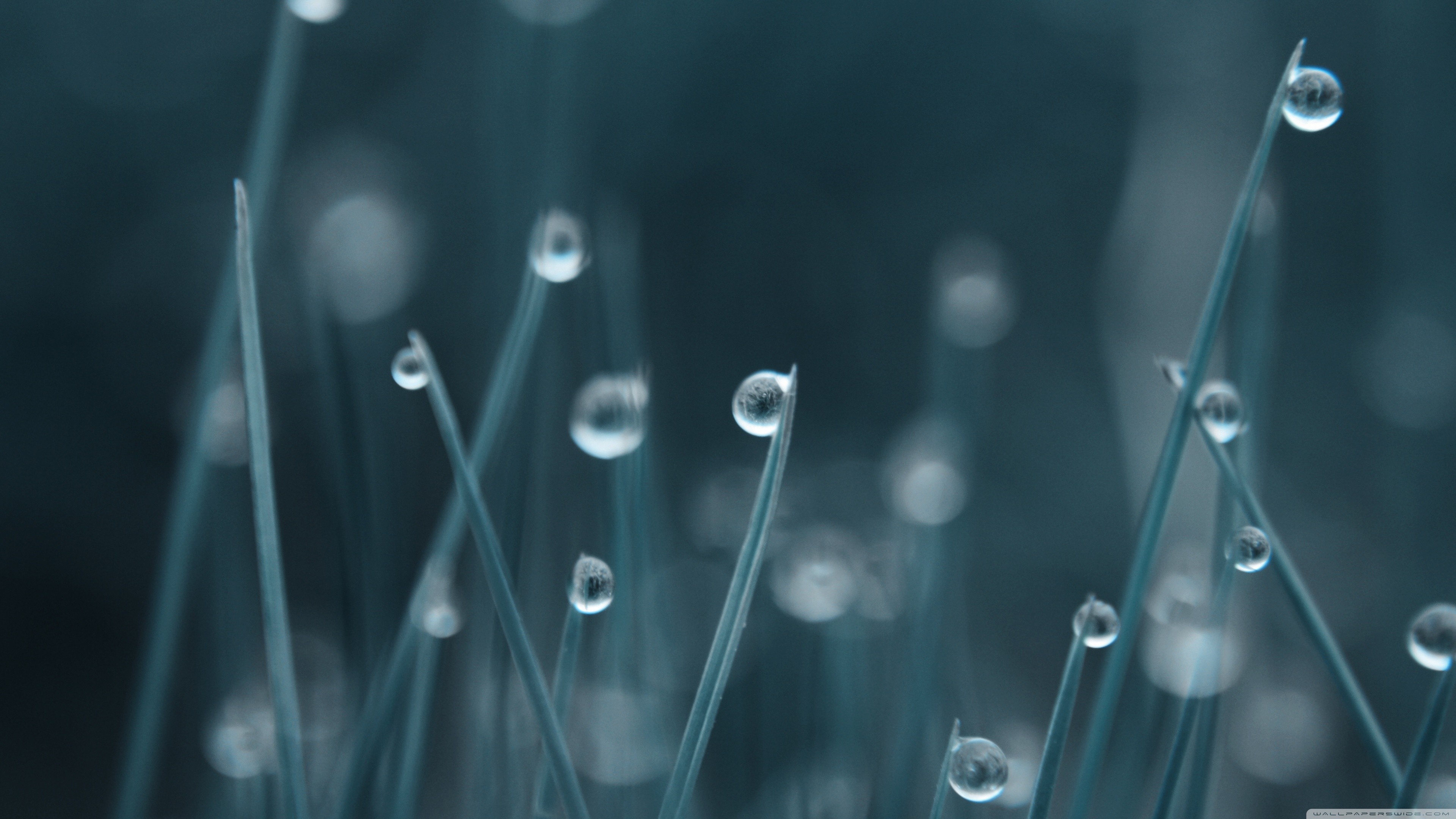 капли, water, waters