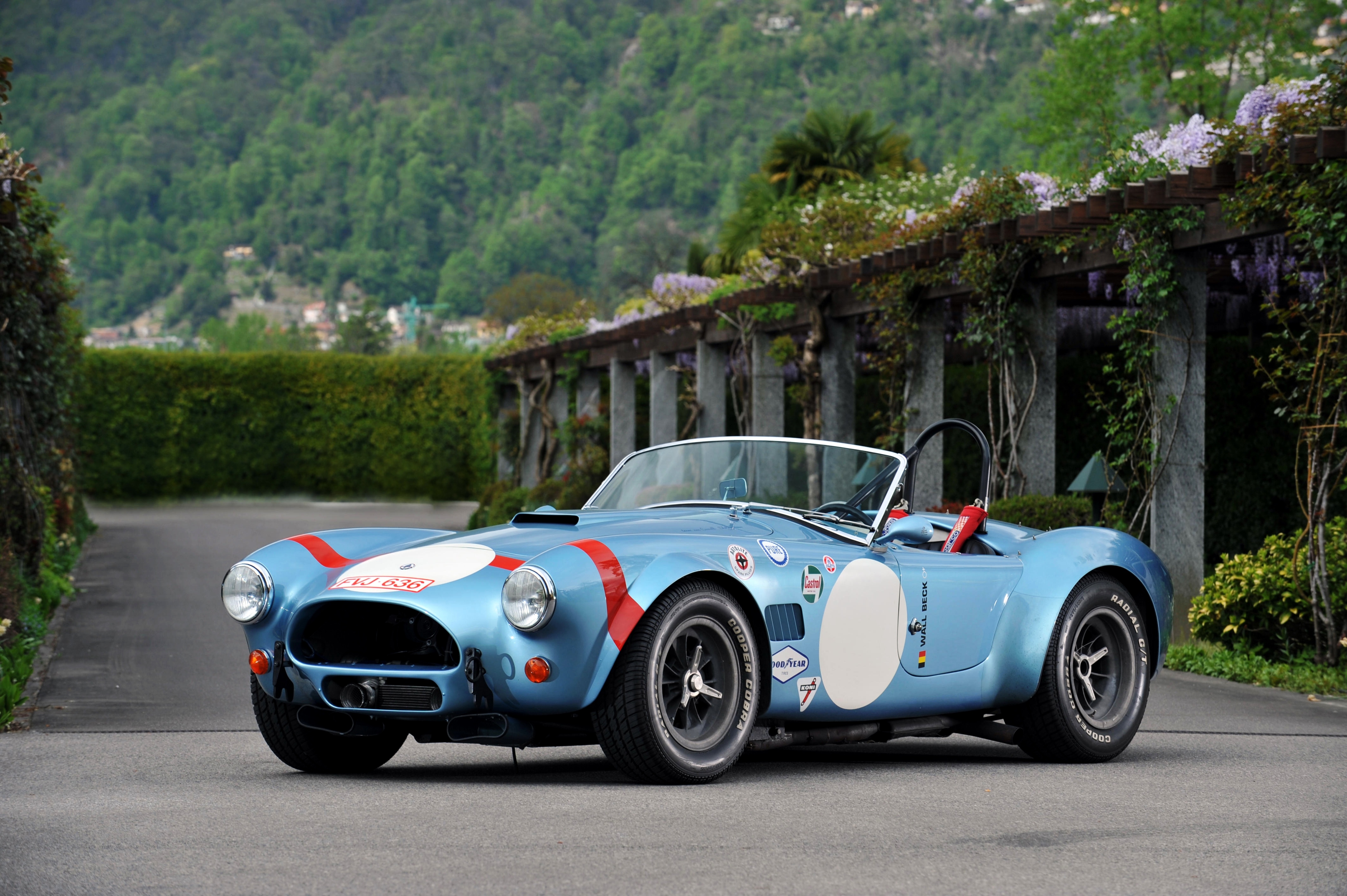 shelby, cobra, fia