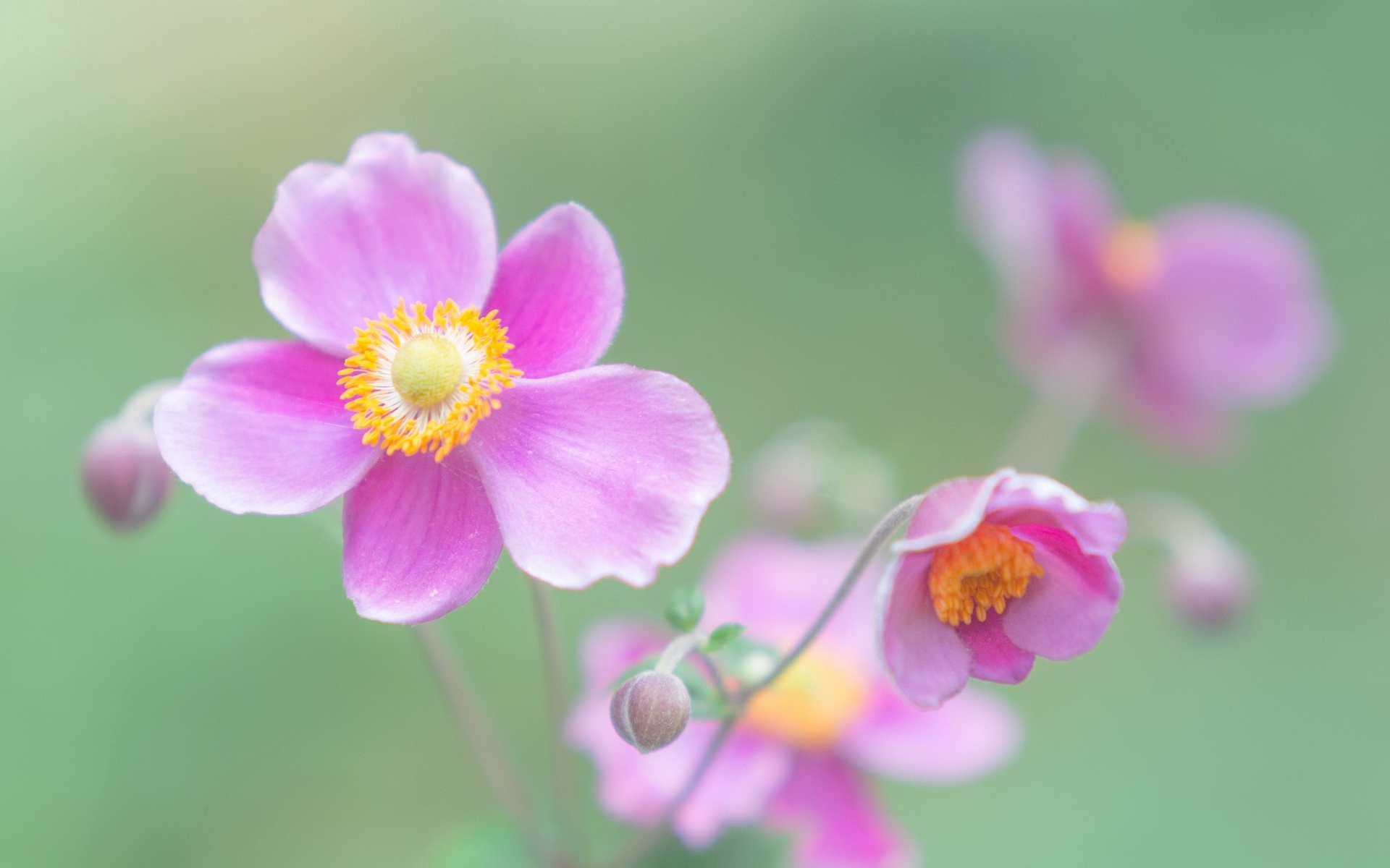 уже, загружено, весна