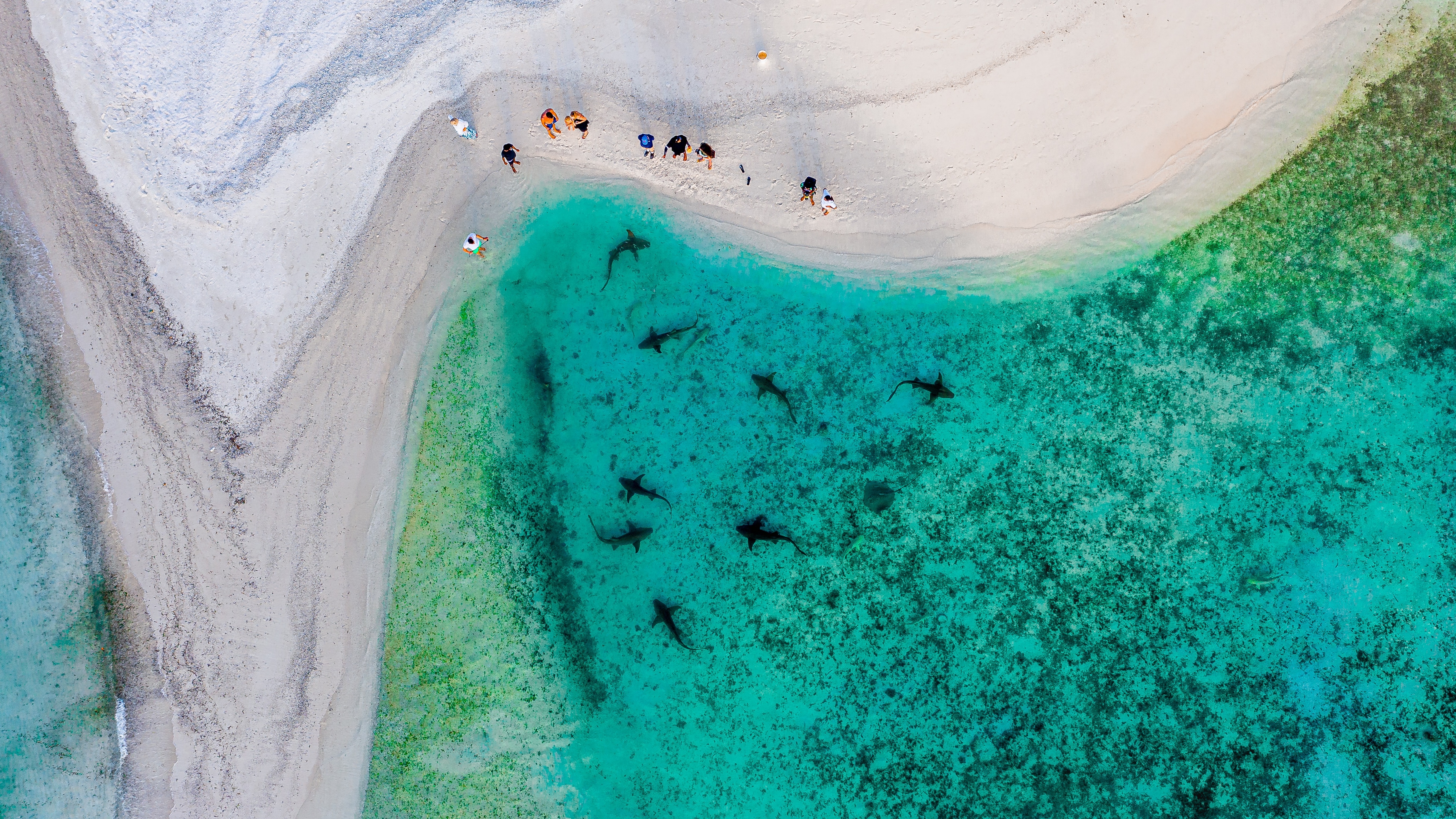 maldive