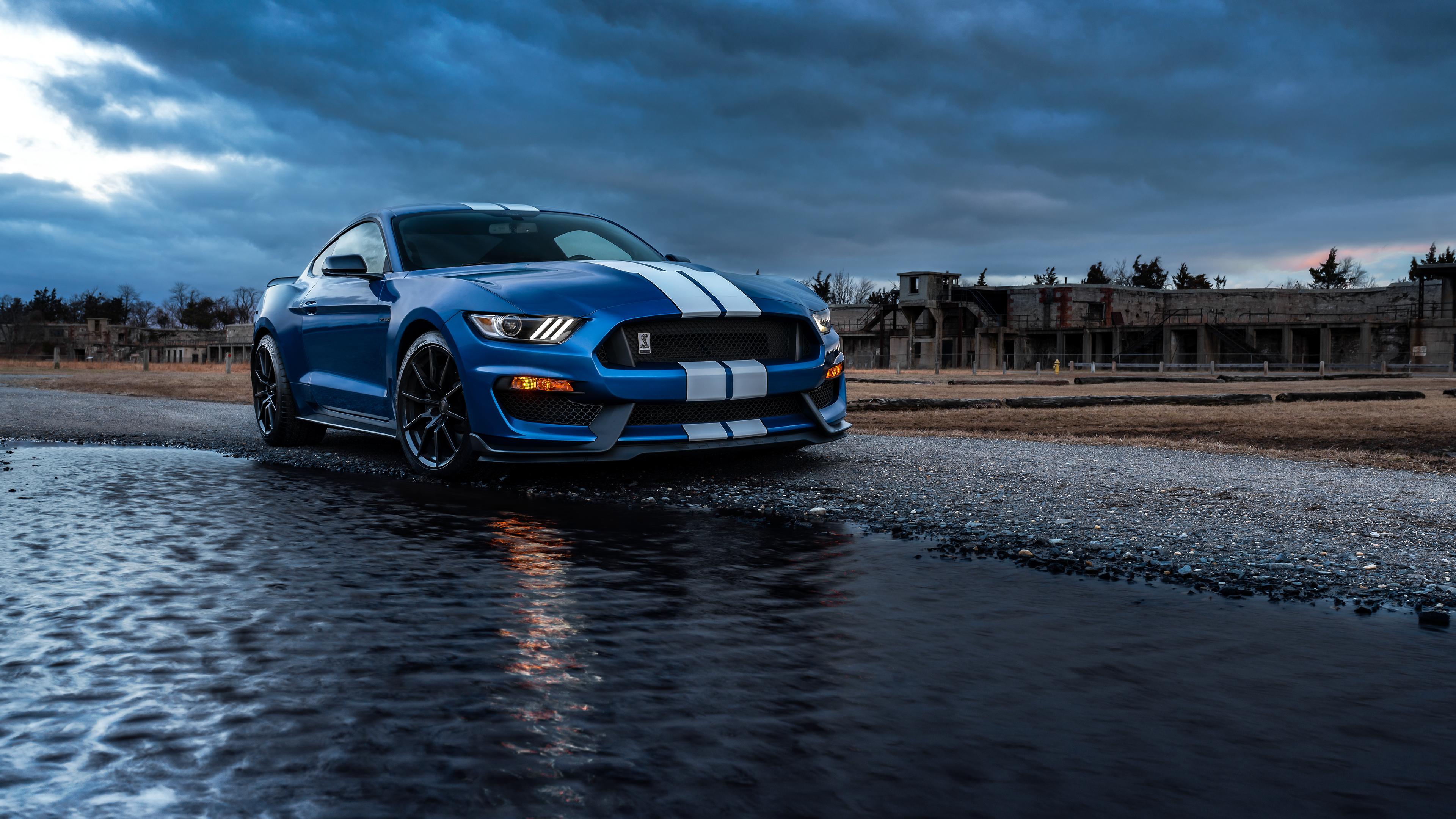ford, mustang, shelby
