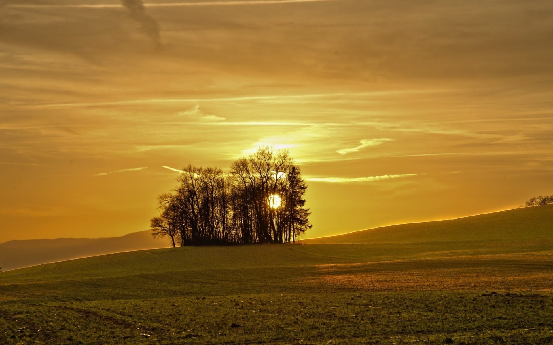 Природа 35236