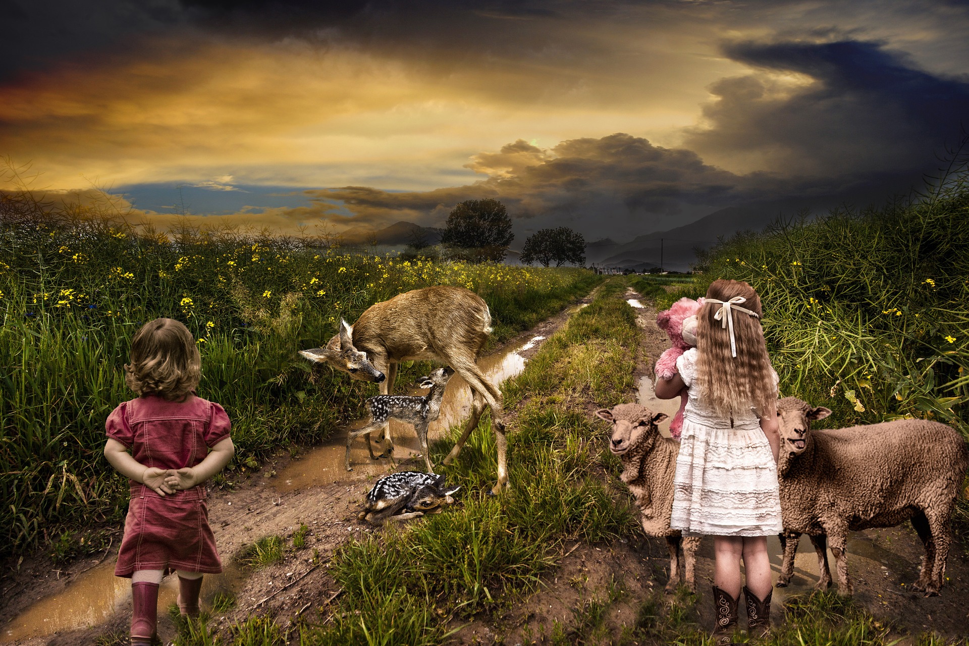 campagne, enfant