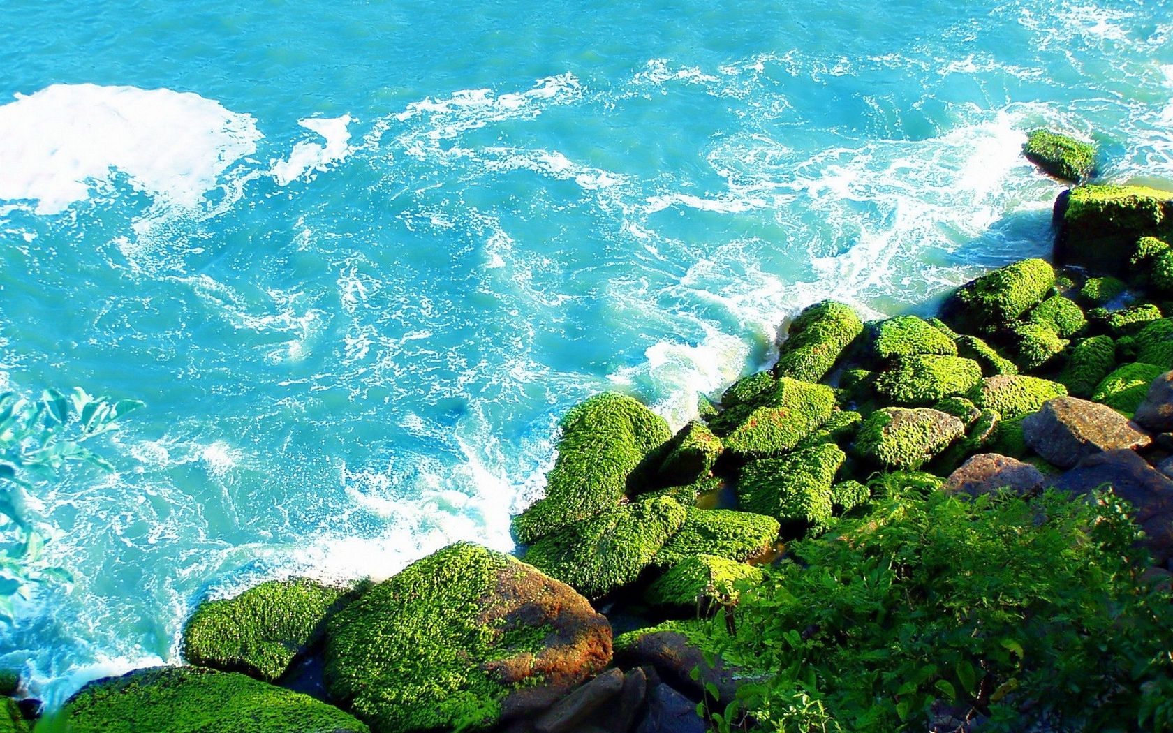 лента