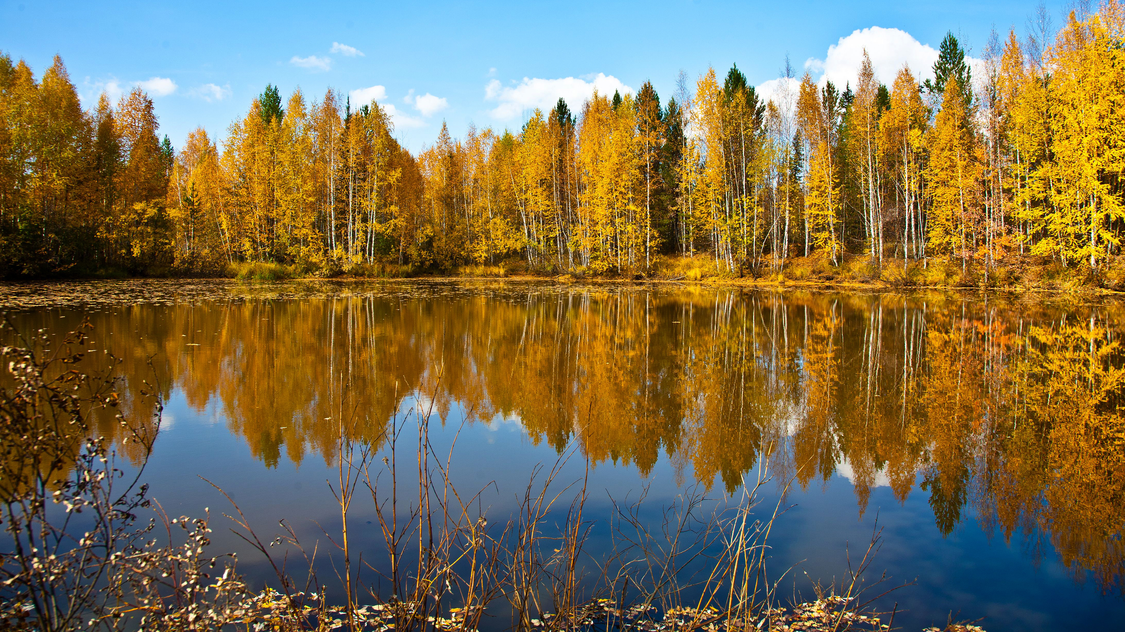 Картинки осени на рабочий. Лесное озеро Пермский край. Озеро Яльчик. Природа лес озеро осень. Озеро Яльчик Марий Эл.