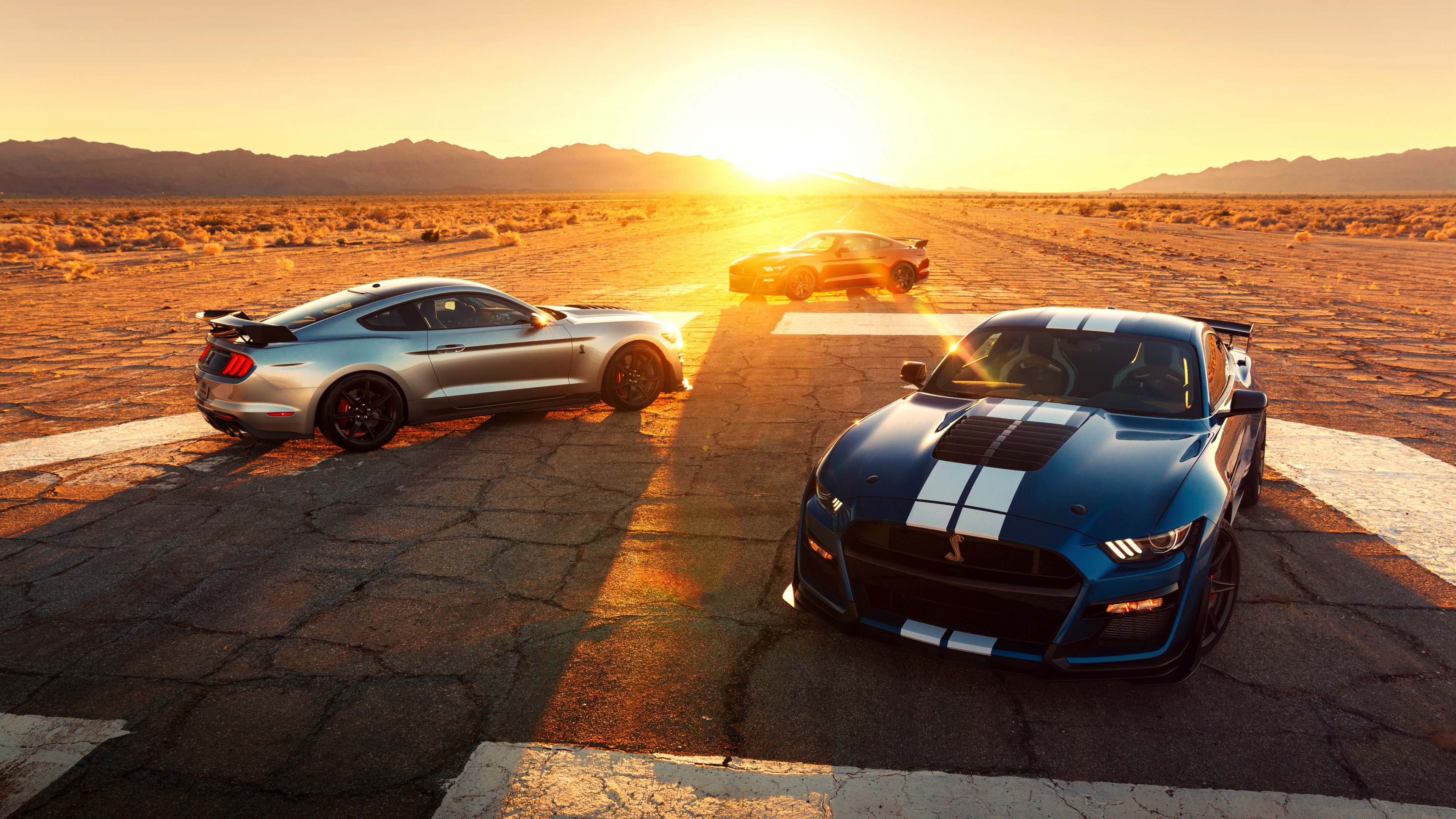 ford, mustang, shelby