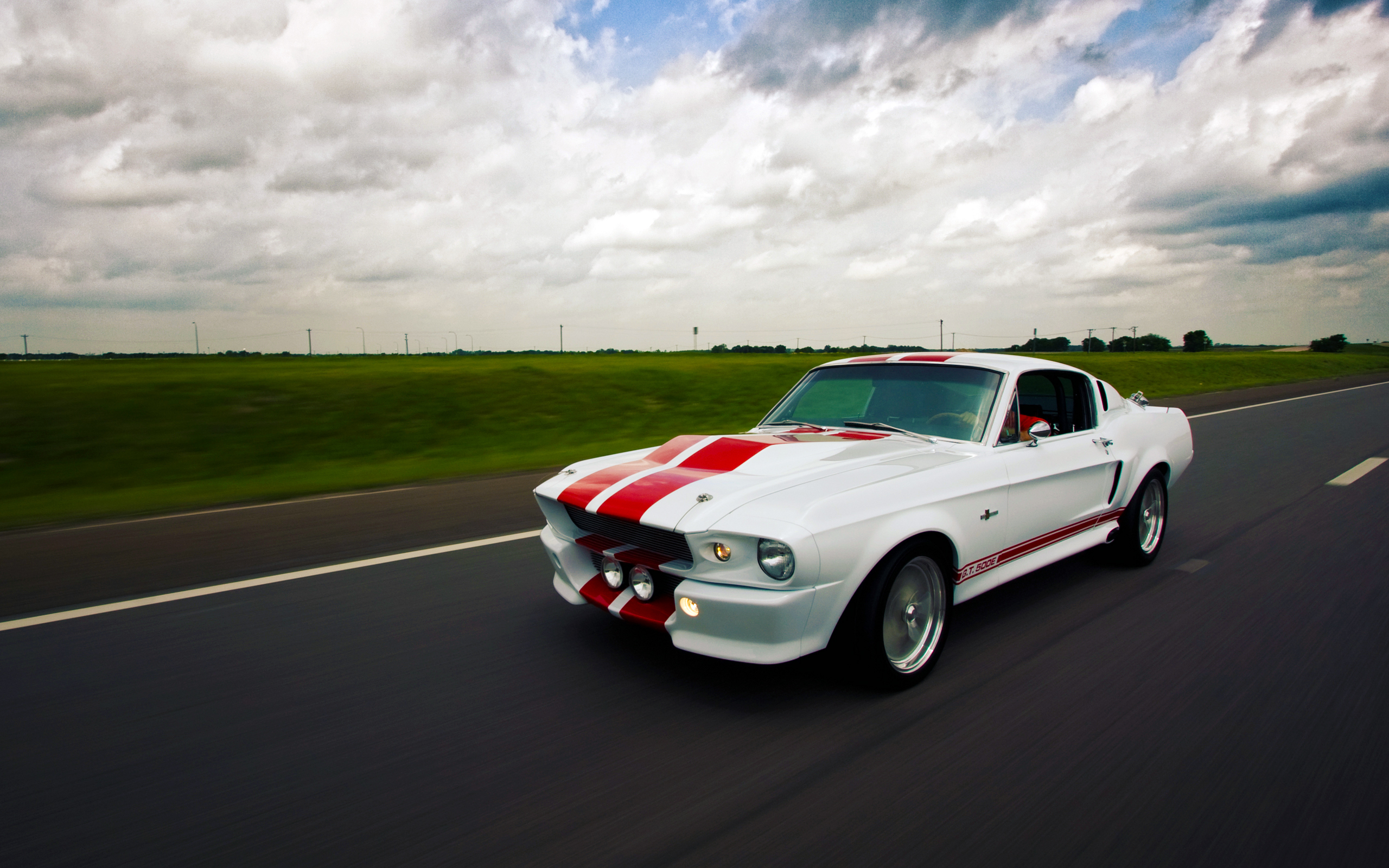 shelby, mustang, eleanor