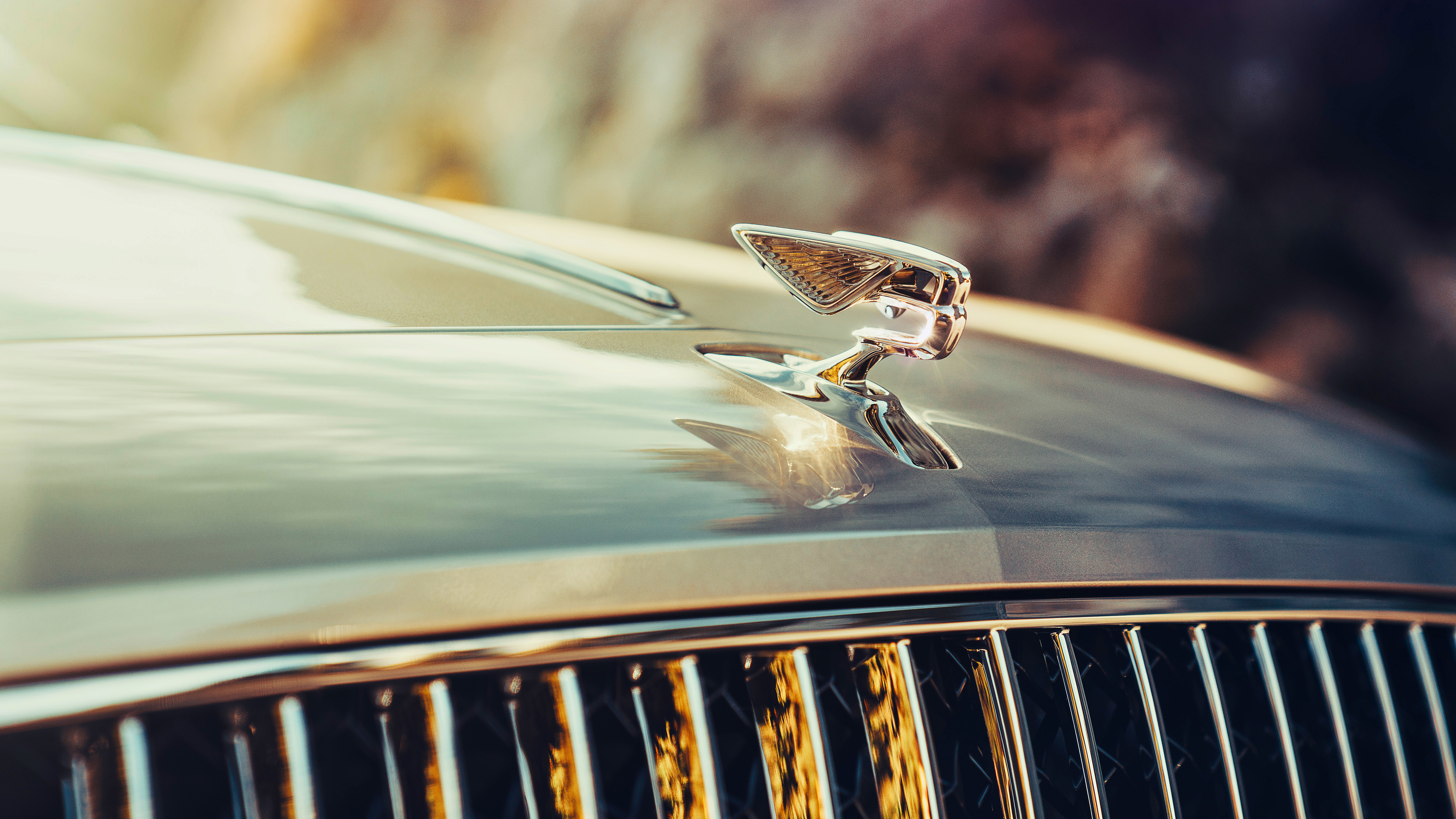 bentley, fly, шпора