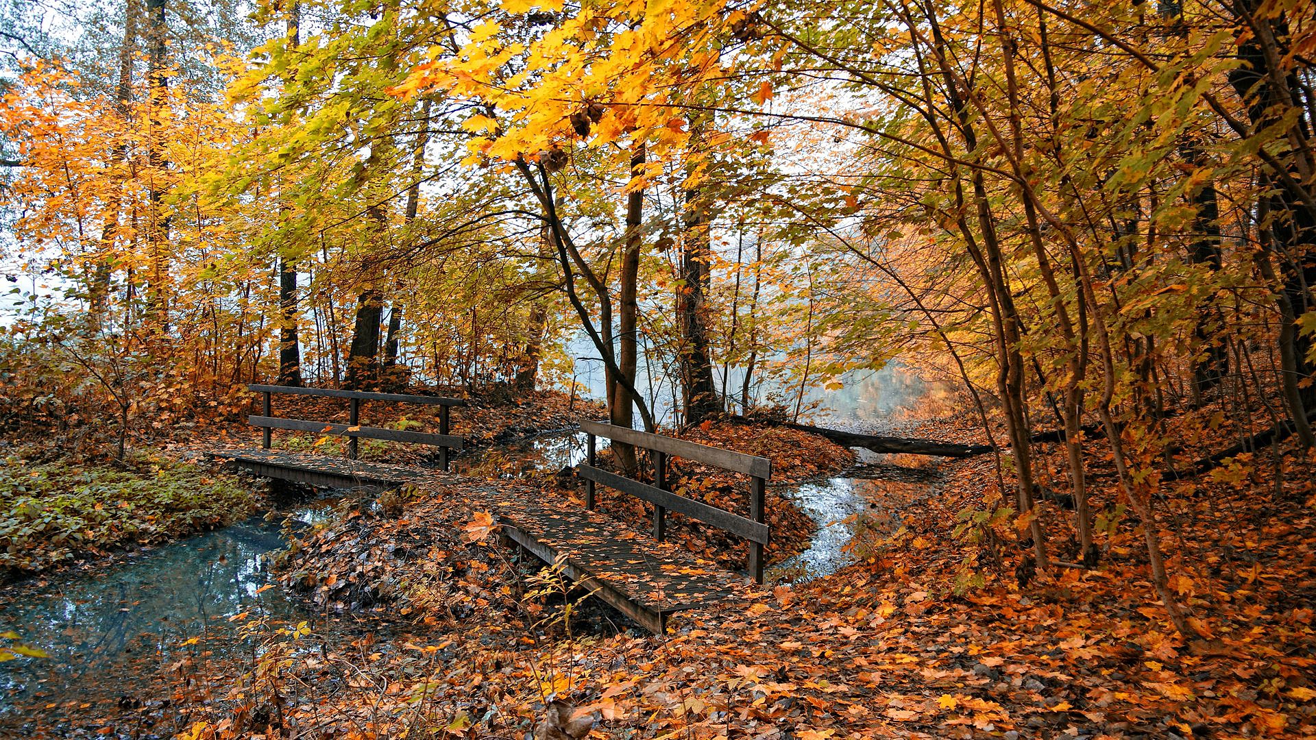 осень